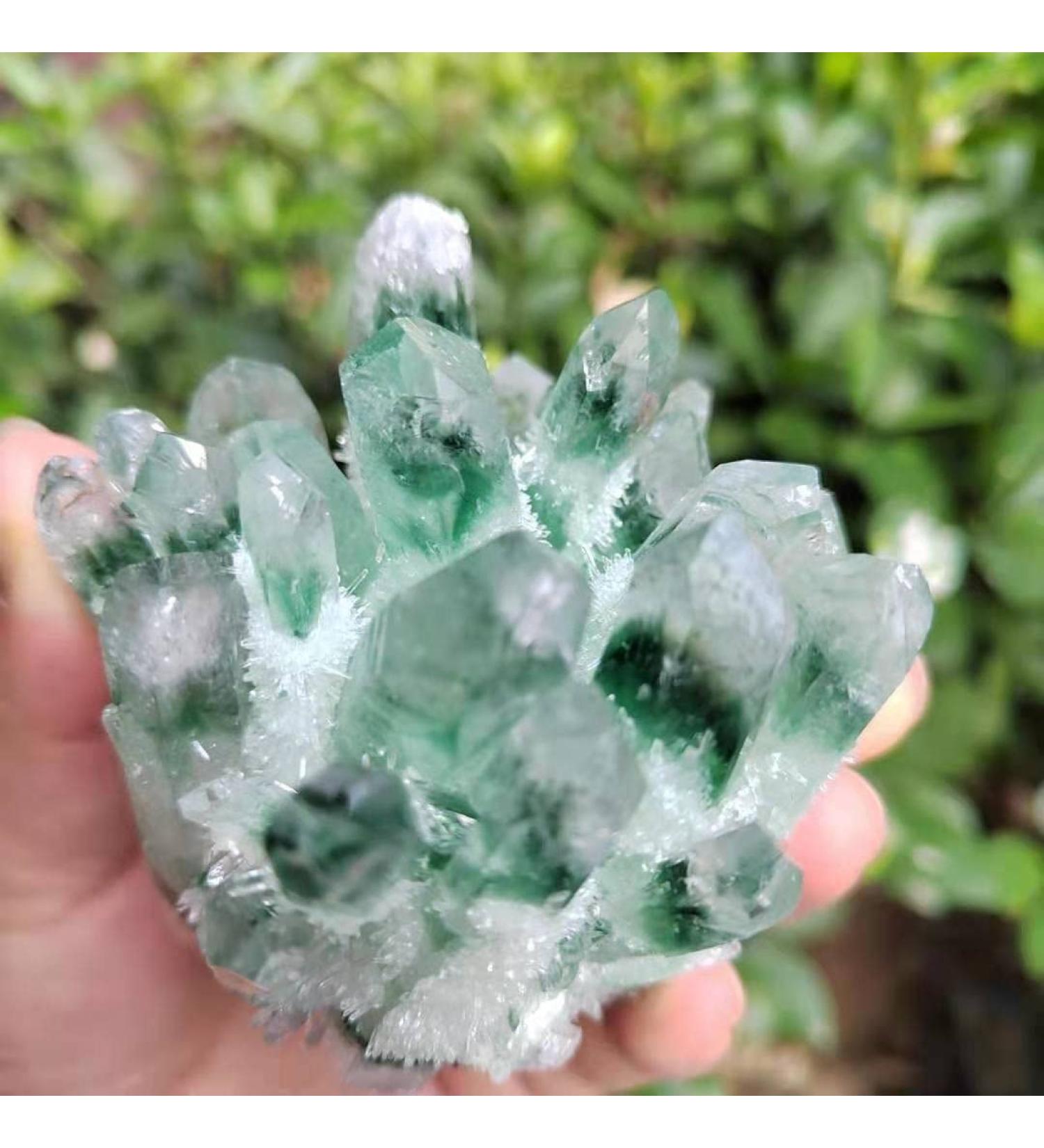 Natural Crystal Rough 1pc Natural Green Phantom Quartz Crystal Cluster Stone Ornaments 300G-900G for (Color : 1pc810g-900g Size : 1PC) 1PC 1pc810g-900g - Buy Online on GoSupps.com