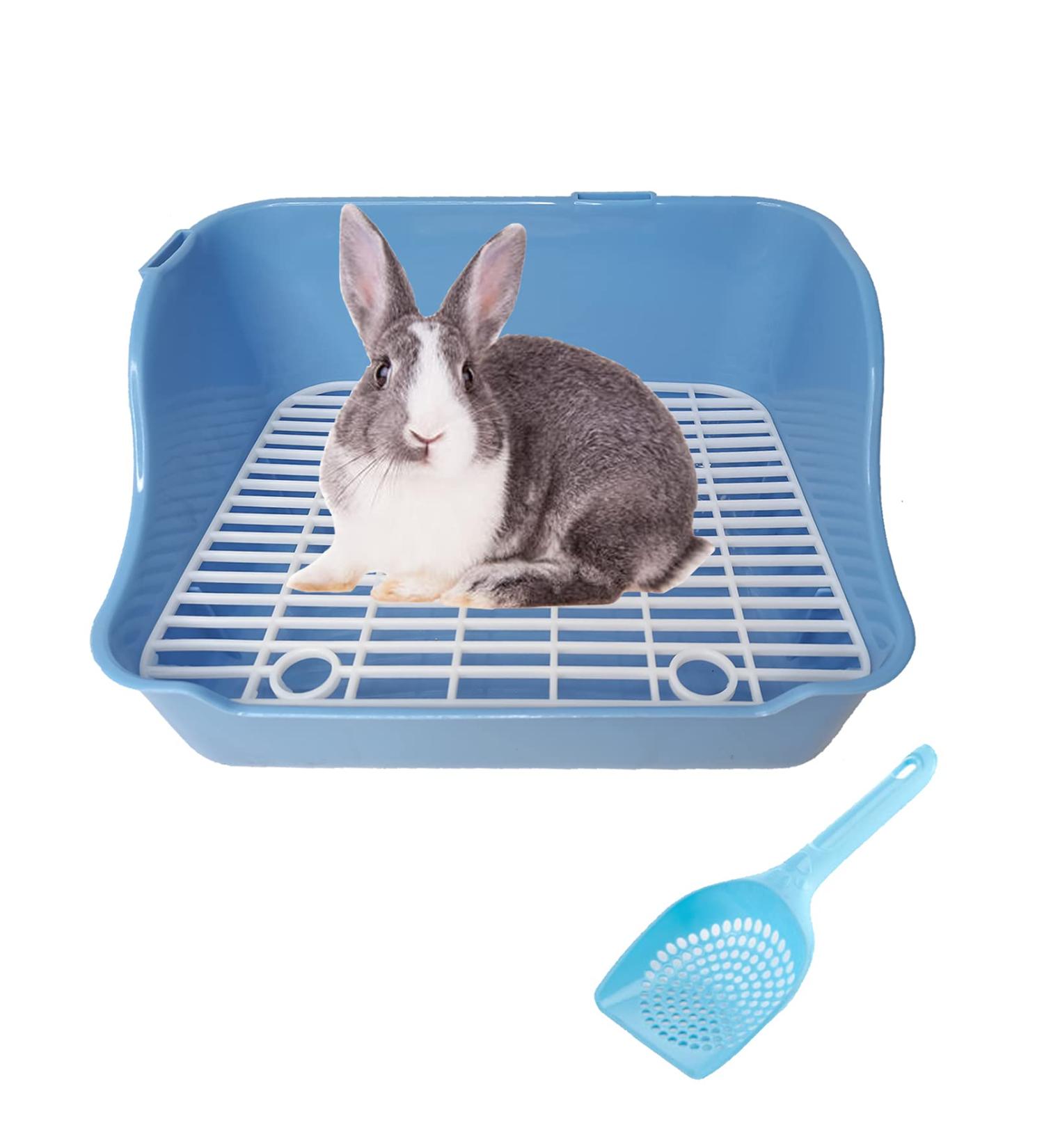 Small Animal Litter Toilet Box with Grate - Potty Training for Rabbits, Guinea Pigs, Chinchillas, Ferrets & More - Blue - Buy Online on GoSupps.com