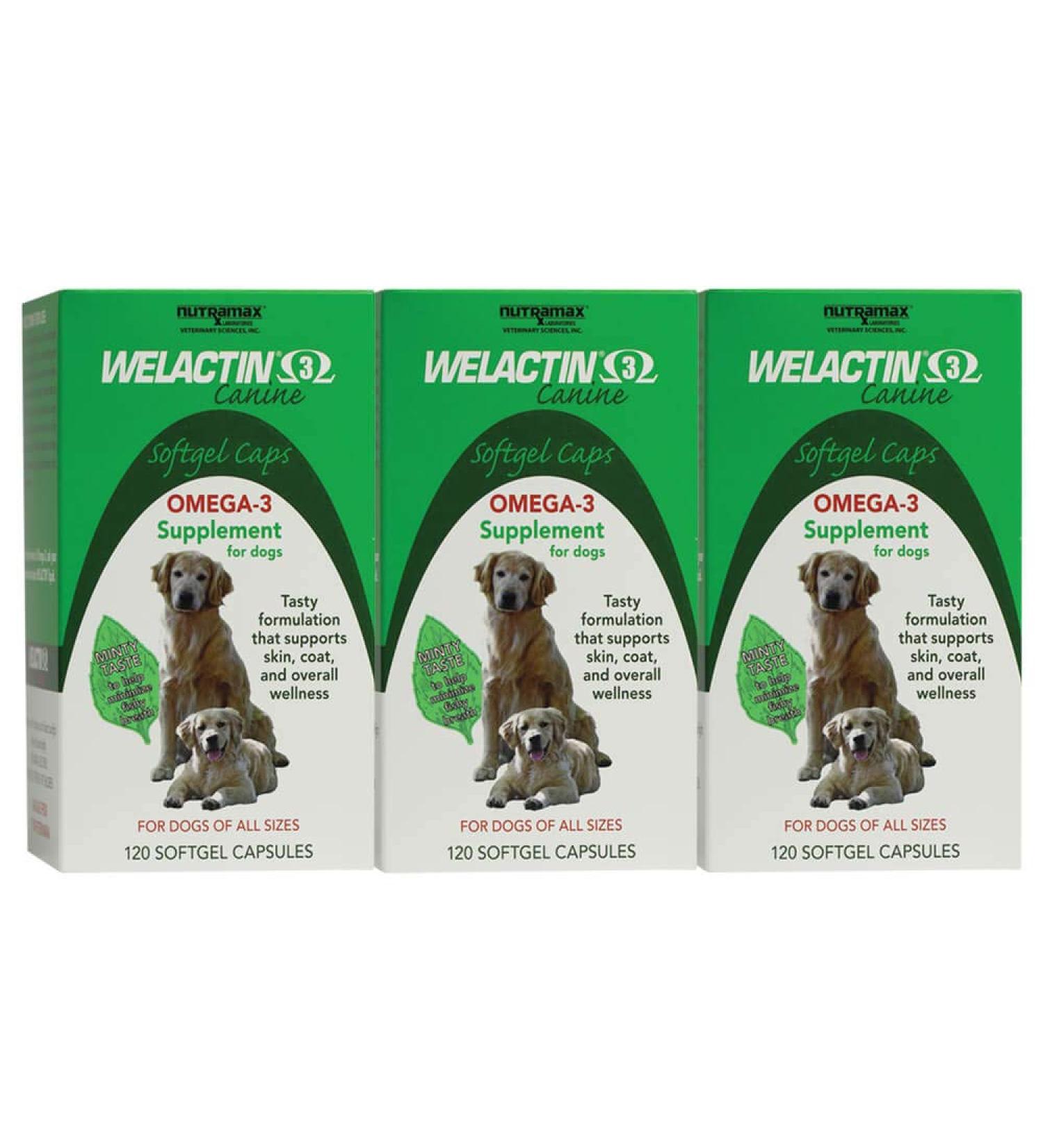 Nutramax Laboratories Welactin Canine Softgel Capsule 120 Count 3-Pack - Buy Online on GoSupps.com