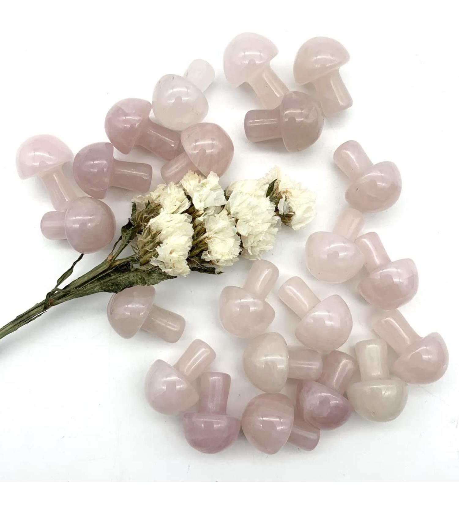 Home Decoration Natural Pink Rose Crystal Mushroom Shaped Polished QuartzStones Specimen Home Decoration Crystals Stones ERTEYIN (Size : 2pcs) - Buy Online on GoSupps.com