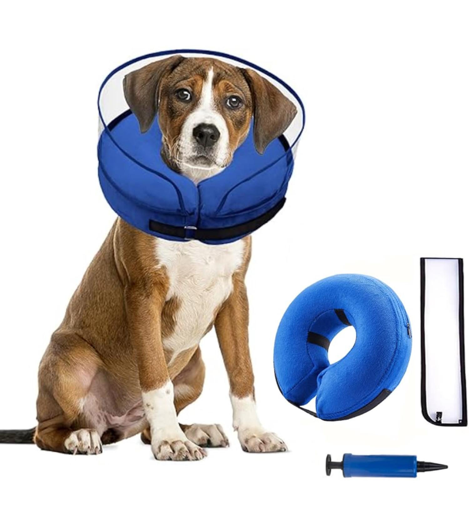 Small Crates for Dogs | 2-in-1 Inflatable Dog Collar for Recovery & Protection After Surgery | Best Protective Collar for Pets - Buy Online on GoSupps.com