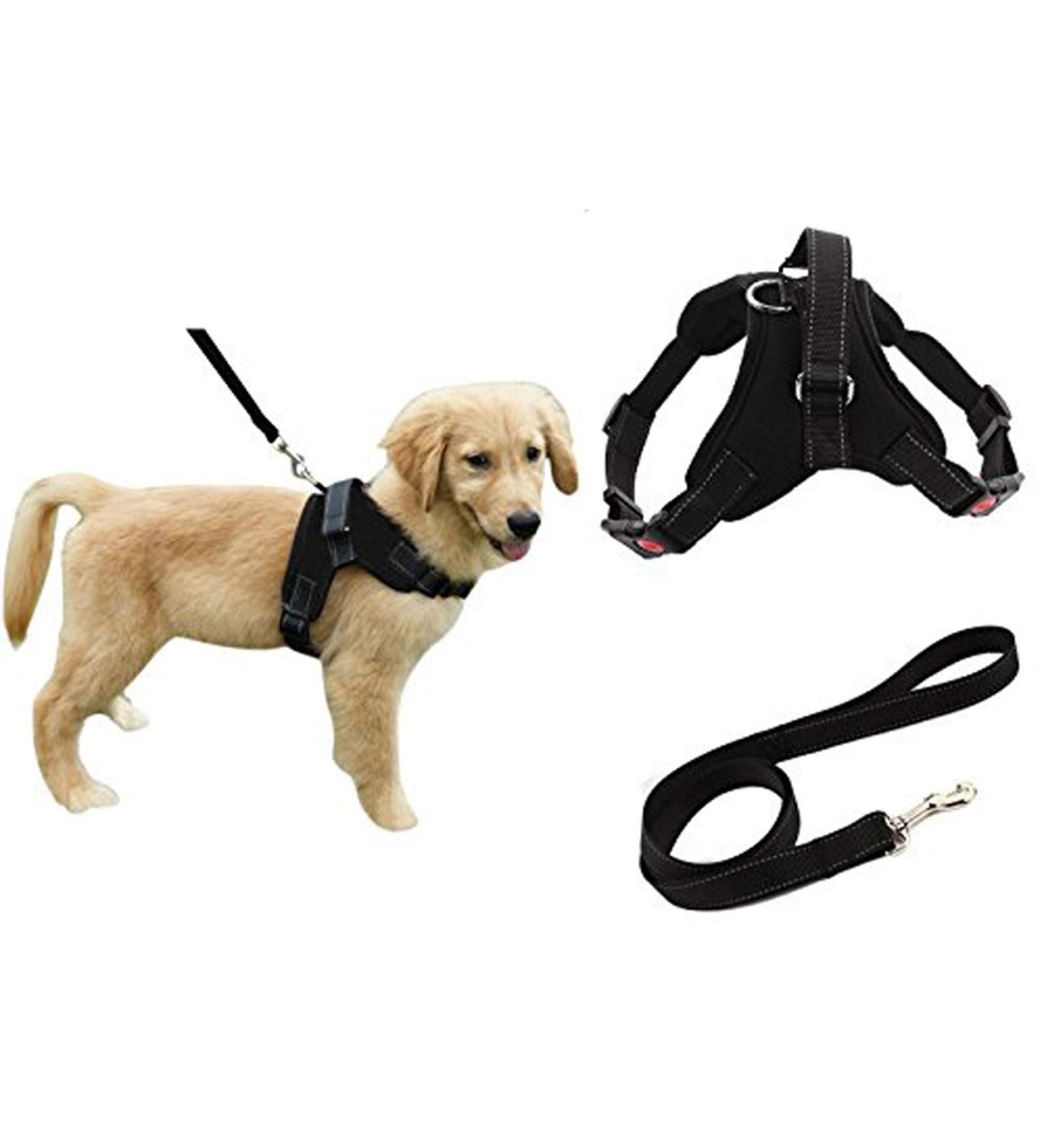 Adjustable Reflective Dog Safety Harness with Leash Set - No-Pull Breathable Vest for Small, Medium, Large Dogs - Training and Walking - Black - Buy Online on GoSupps.com