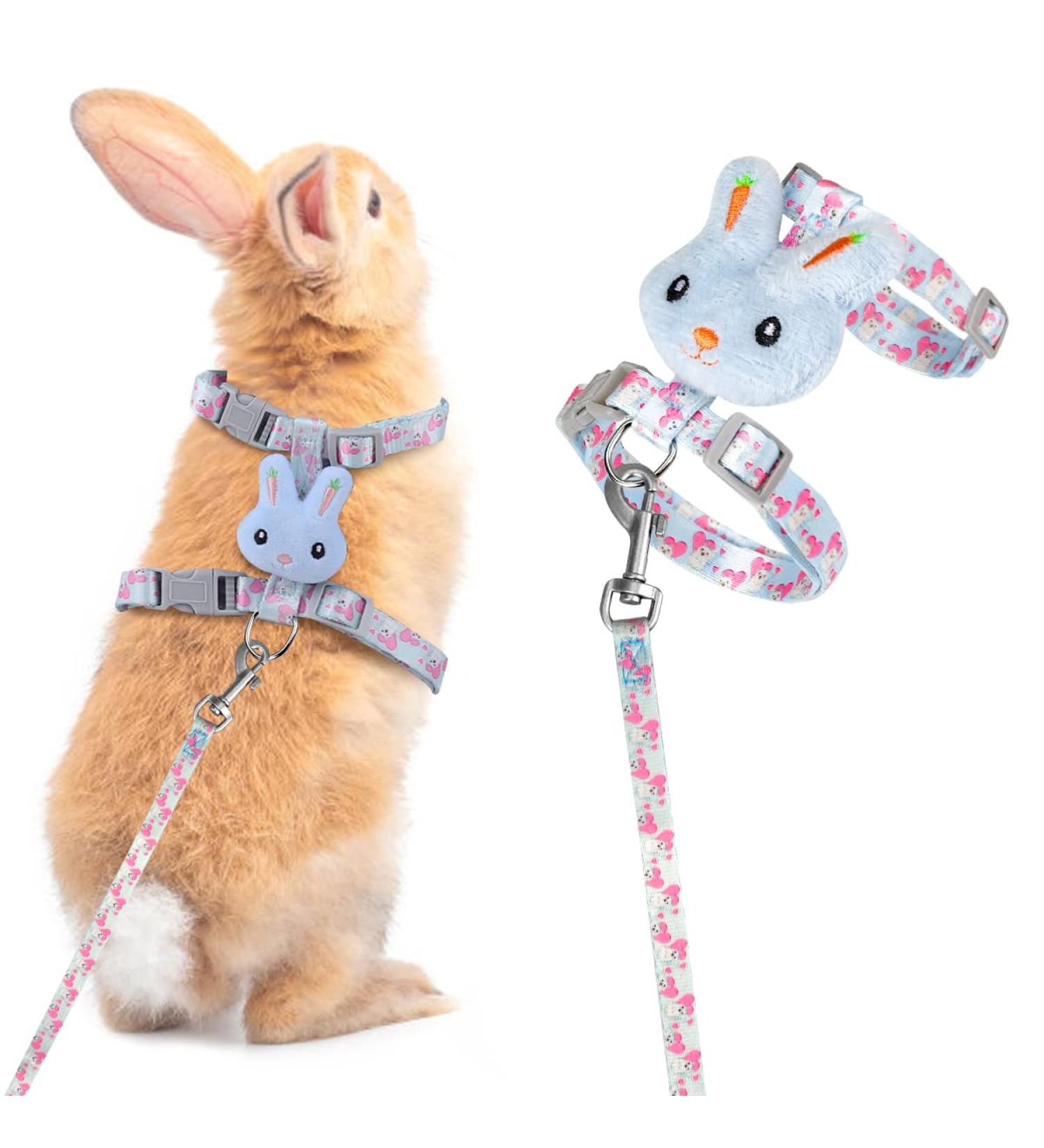 Adjustable Rabbit Leash & Cat Dishes - Perfect for Small Pets | International Shipping - Buy Online on GoSupps.com