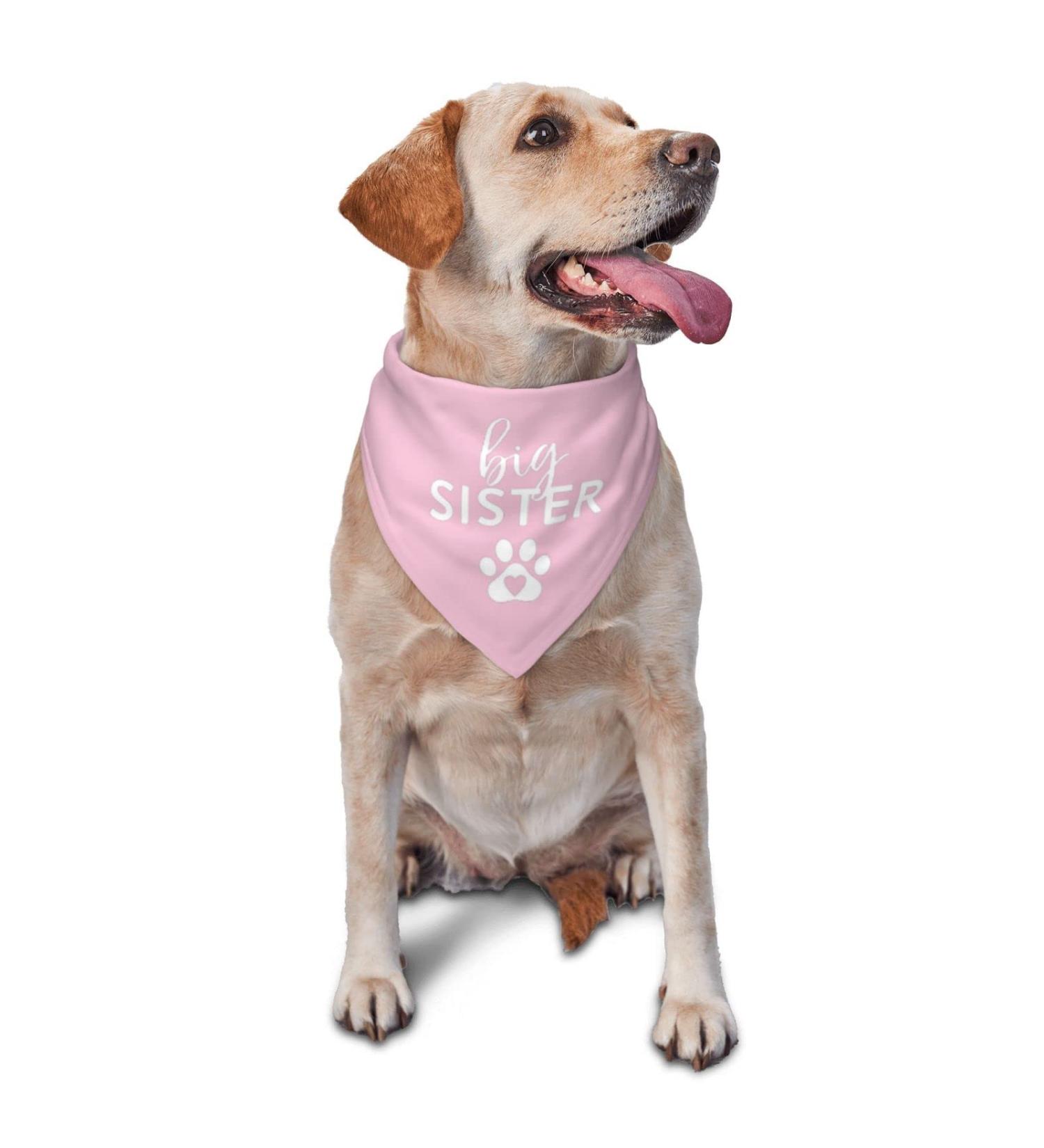 Vercoise Big Sister Dog Bandana | Gender Reveal Photo Props | Pregnancy Announcement Pet Scarf (Pink) - Buy Online on GoSupps.com