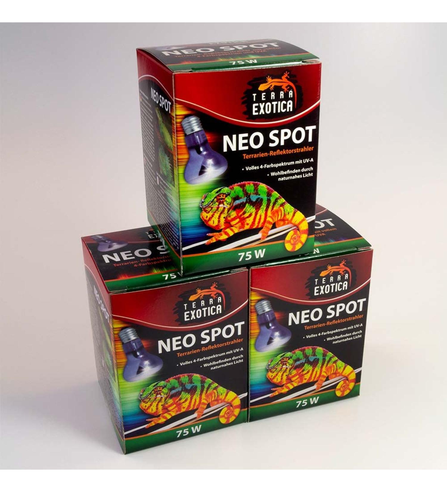 Terra Exotica Neo Spot: UV Heat & Light Reflector for Terrariums (25W-150W) - Perfect for Terrarium Dwellers - Buy Online on GoSupps.com