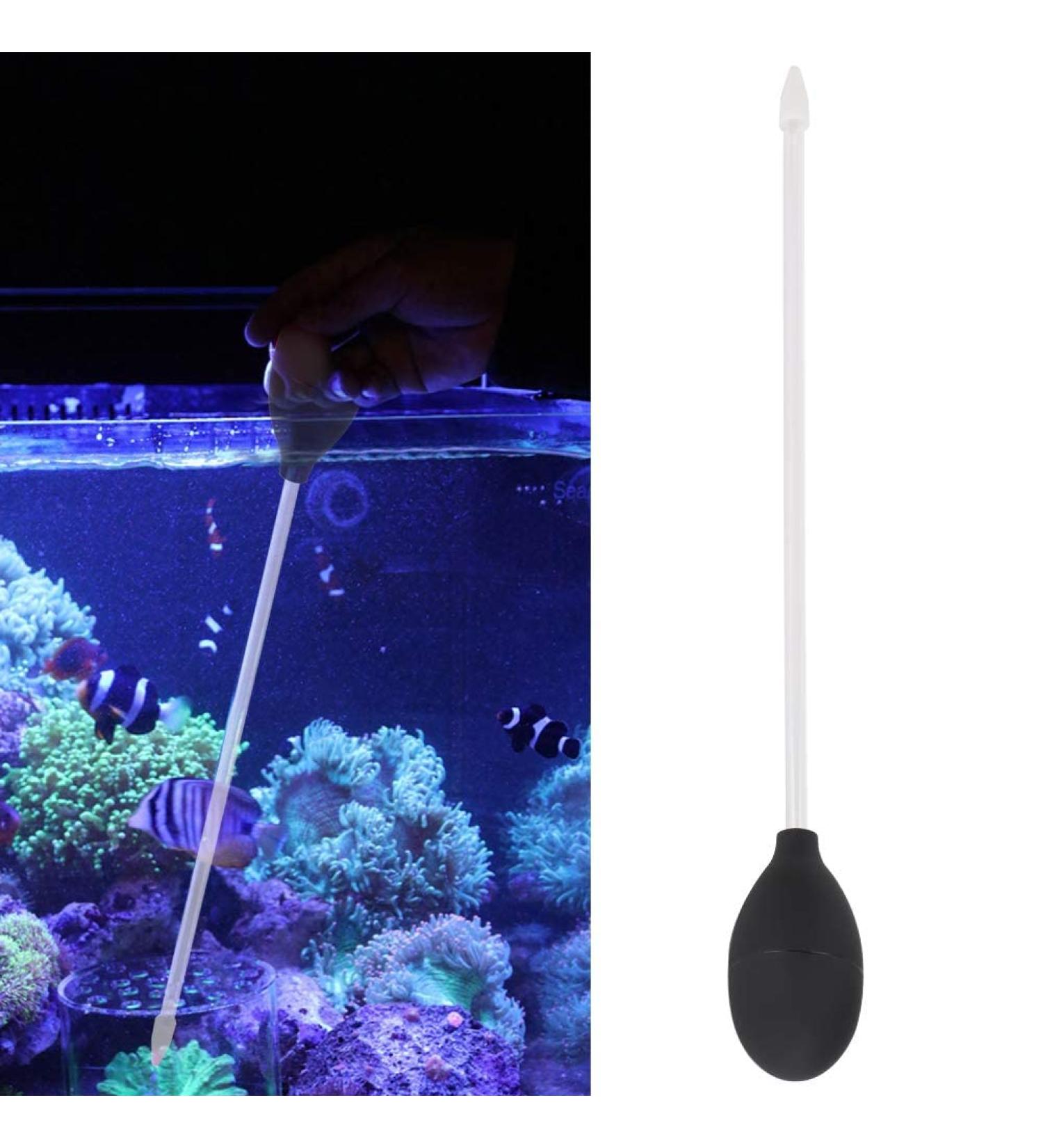 Fish Feeder Fish Feeders for Aquariums 2MM Long Acrylic Coral Feeder Fish Tanks Tube Coral Feeding Tube for Coral Feeding Cleaning for Reef Anemones(Black) Black Coral Feeding Tube - Buy Online on GoSupps.com
