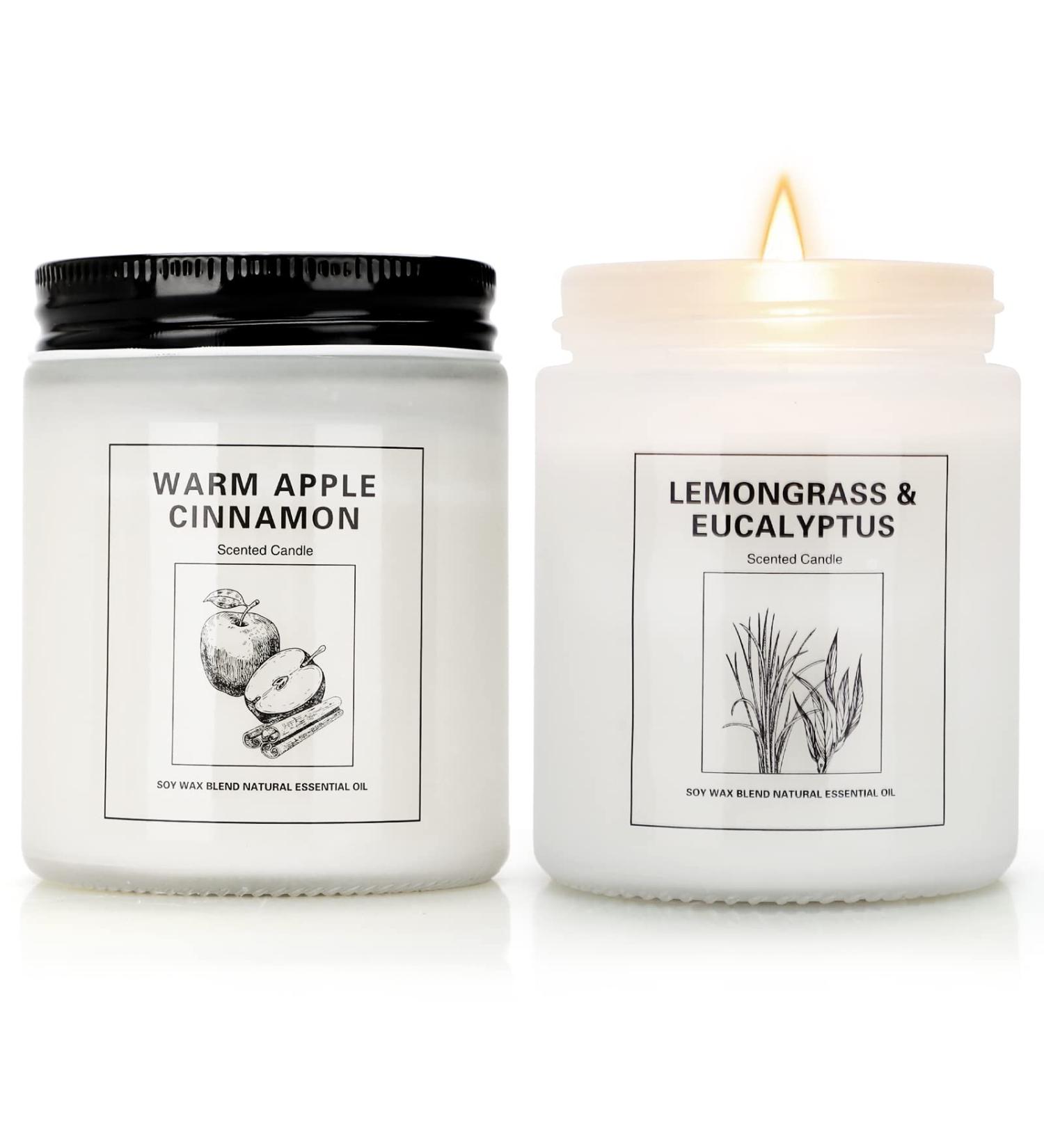 Apple Cinnamon & Lemongrass Eucalyptus Scented Candles 2 Pack - 15 oz Soy Candle Set for Mother's Day, Valentine, Christmas Gifts - Buy Online on GoSupps.com