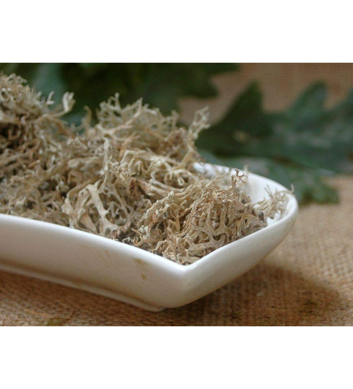 Krauterino24 - Oak moss cut quantity: 1000g