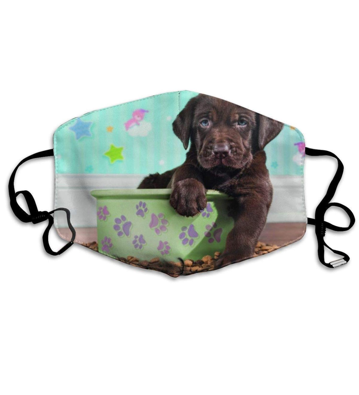 Puppy Washable Reusable Mask Cotton Anti Dust Half Face Mouth Mask For Kids Teens Men Women With Adjustable Ear Loops - Buy Online on GoSupps.com