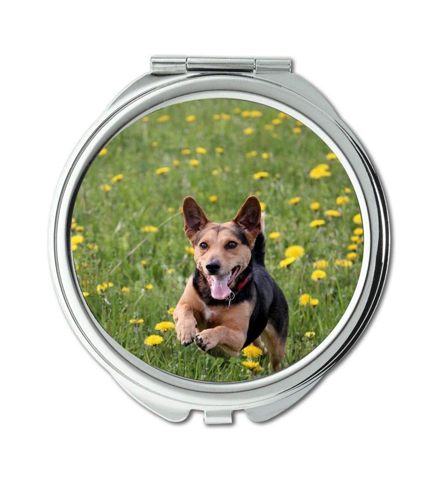 Mirror makeup mirror Dog Meadow Play Race Fun Action Romp Run Jump pocket mirror portable mirror - Buy Online on GoSupps.com