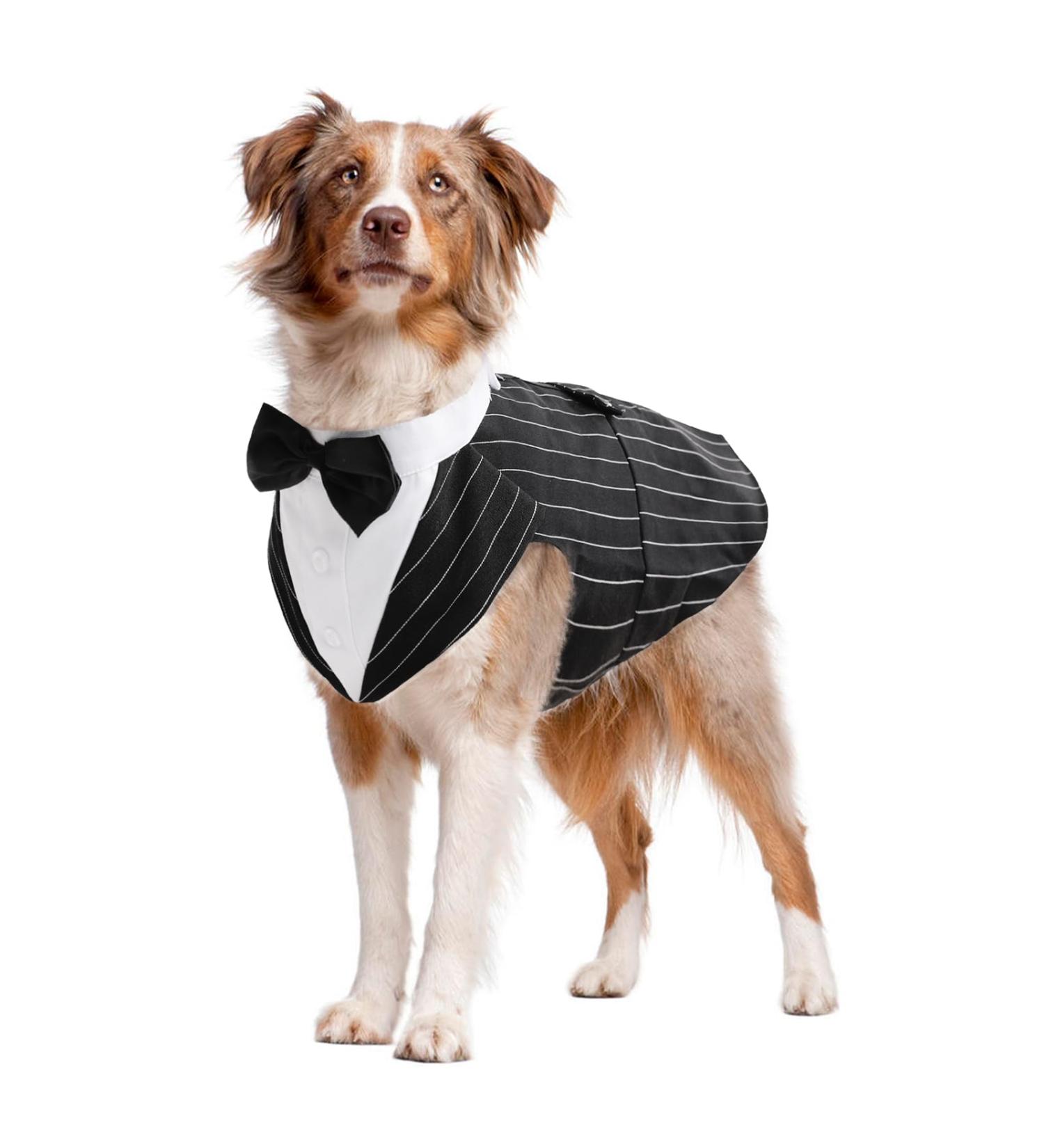 Dog Smoking Suit | Stylish Striped Gentleman Wedding Outfit for Dogs | Formal Pet Clothing - Buy Online on GoSupps.com