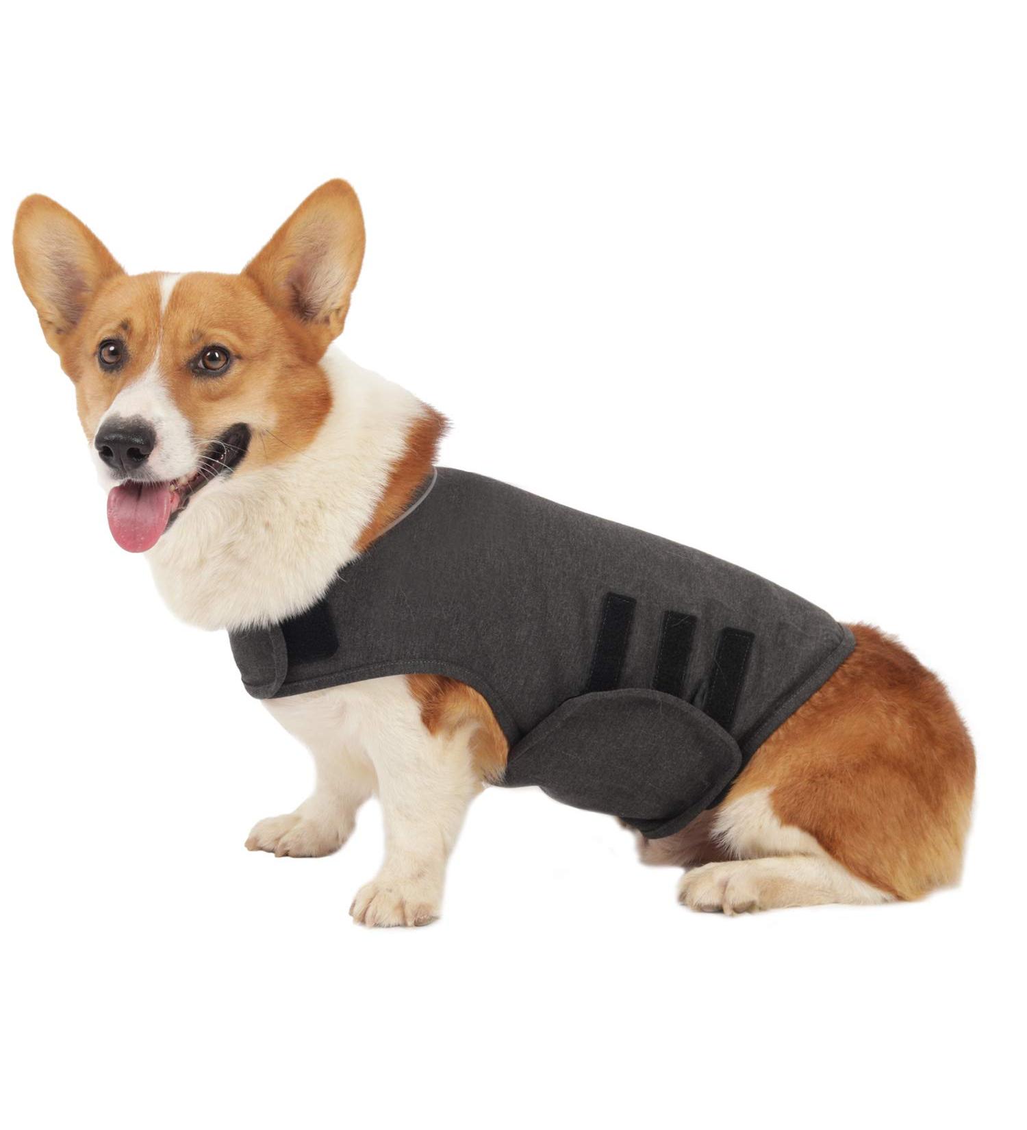 Kelivol Anxiety Jacket for Dogs - Soothing Fear Coat for Fireworks & Thunderstorms (M Dark Gray) | Comfort & Security - Buy Online on GoSupps.com