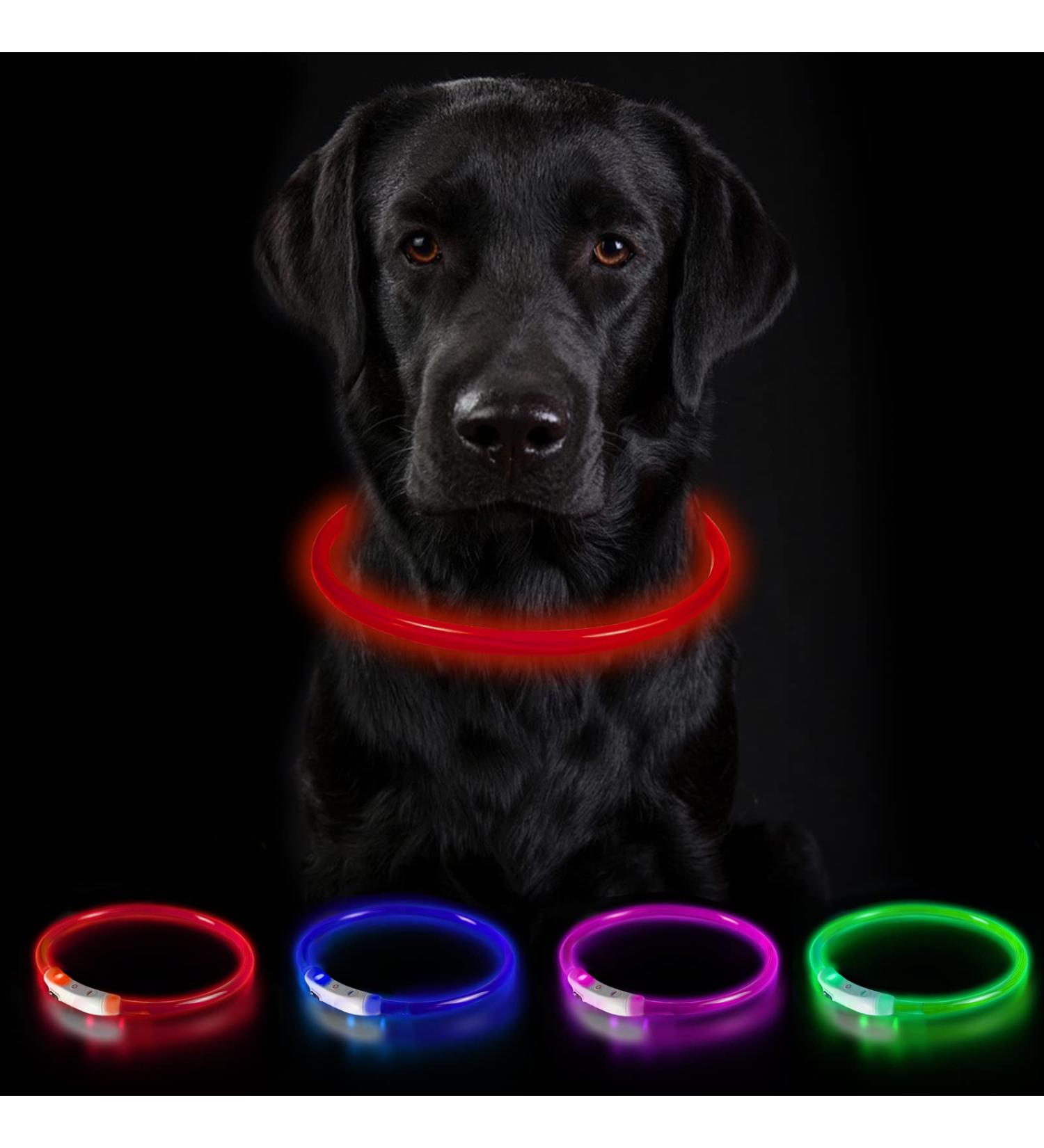 Nepfaivy Light Neck Band for Dogs - USB Charging Waterproof LED Collar with 3 Modes Adjustable Length for Large & Medium Dogs (Red-B) - Buy Online on GoSupps.com