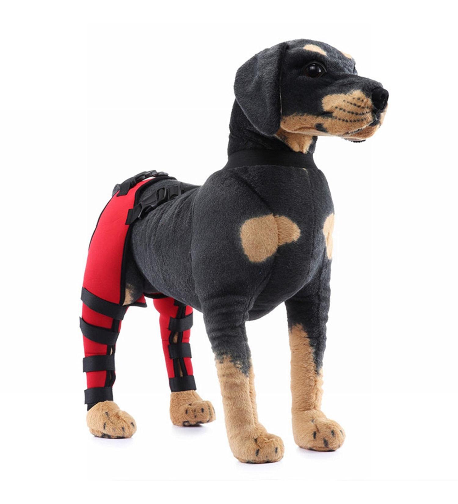 Dog Knee Brace Dog Rear Hind Leg Joint Brace Pet Dog Double Hind Leg Brace Support Belt for Heals Prevents Injuries Sprains Protects Wounds. C Large - Buy Online on GoSupps.com