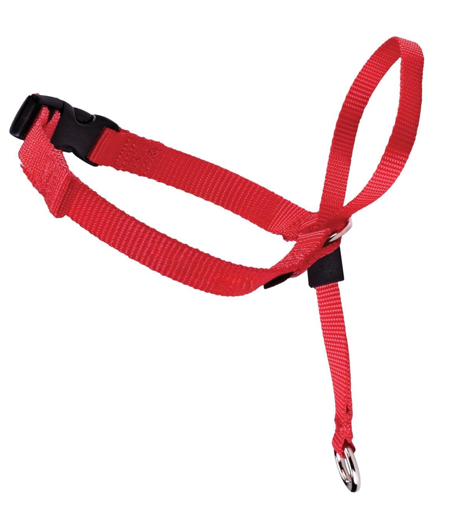 Meta Title: PetSafe Easy Walk Head Collar Red - Adjustable Training Solution - Buy Online on GoSupps.com