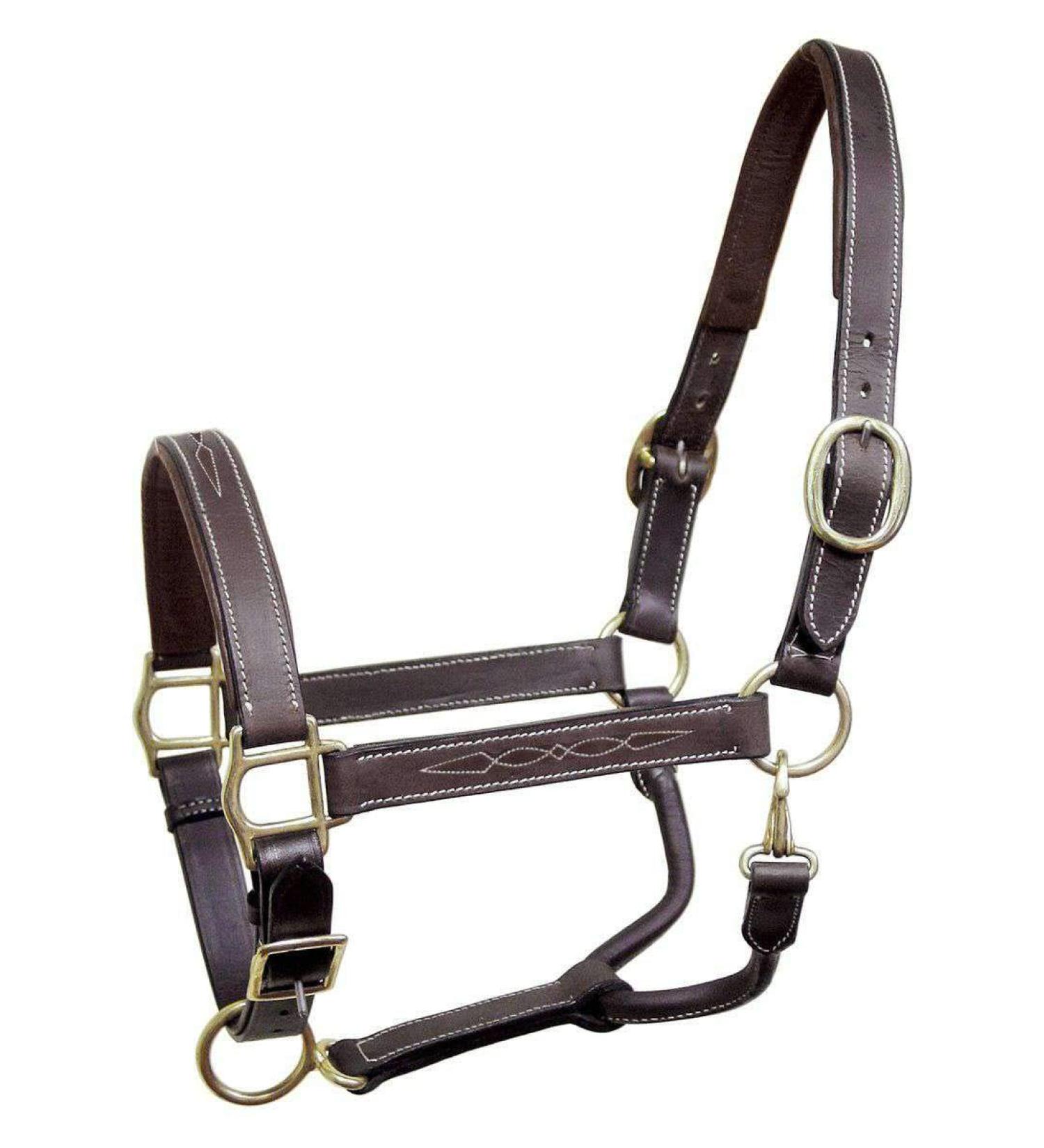 Derby Originals Liverpool Padded Leather Horse Halter - Cob/Arabian Size - Buy Online on GoSupps.com