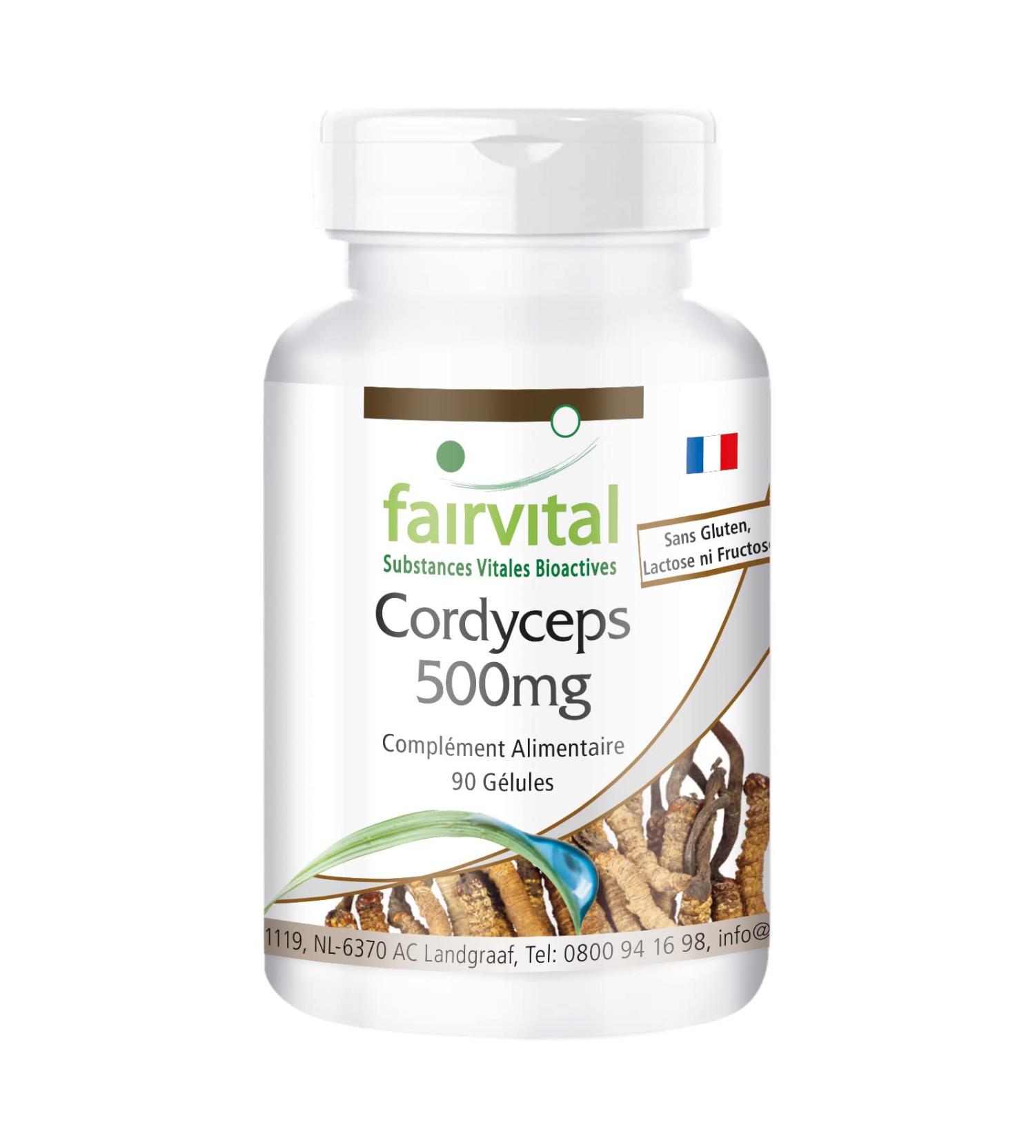 Fairvital | Cordyceps 500mg VEGAN - Highly dosed - 90 capsules - Cordyceps sinensis - caterpillar mushroom - Buy Online on GoSupps.com