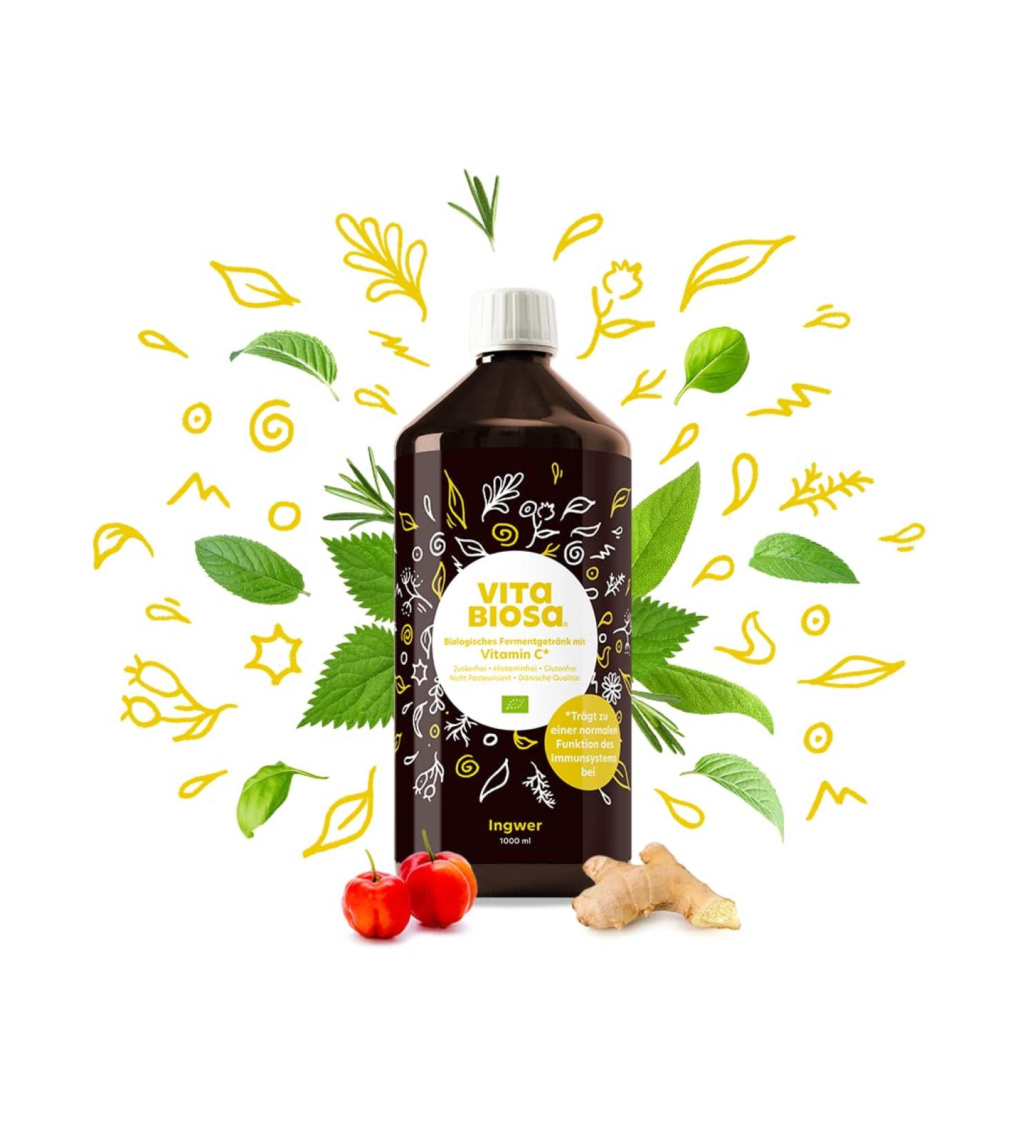 Buy Vita Biosa Ginger + Vitamin C 1L - Organic Fermented Drink with Extra Ginger for Refreshing Flavor - Probiotic Health Beverage - Buy Online on GoSupps.com