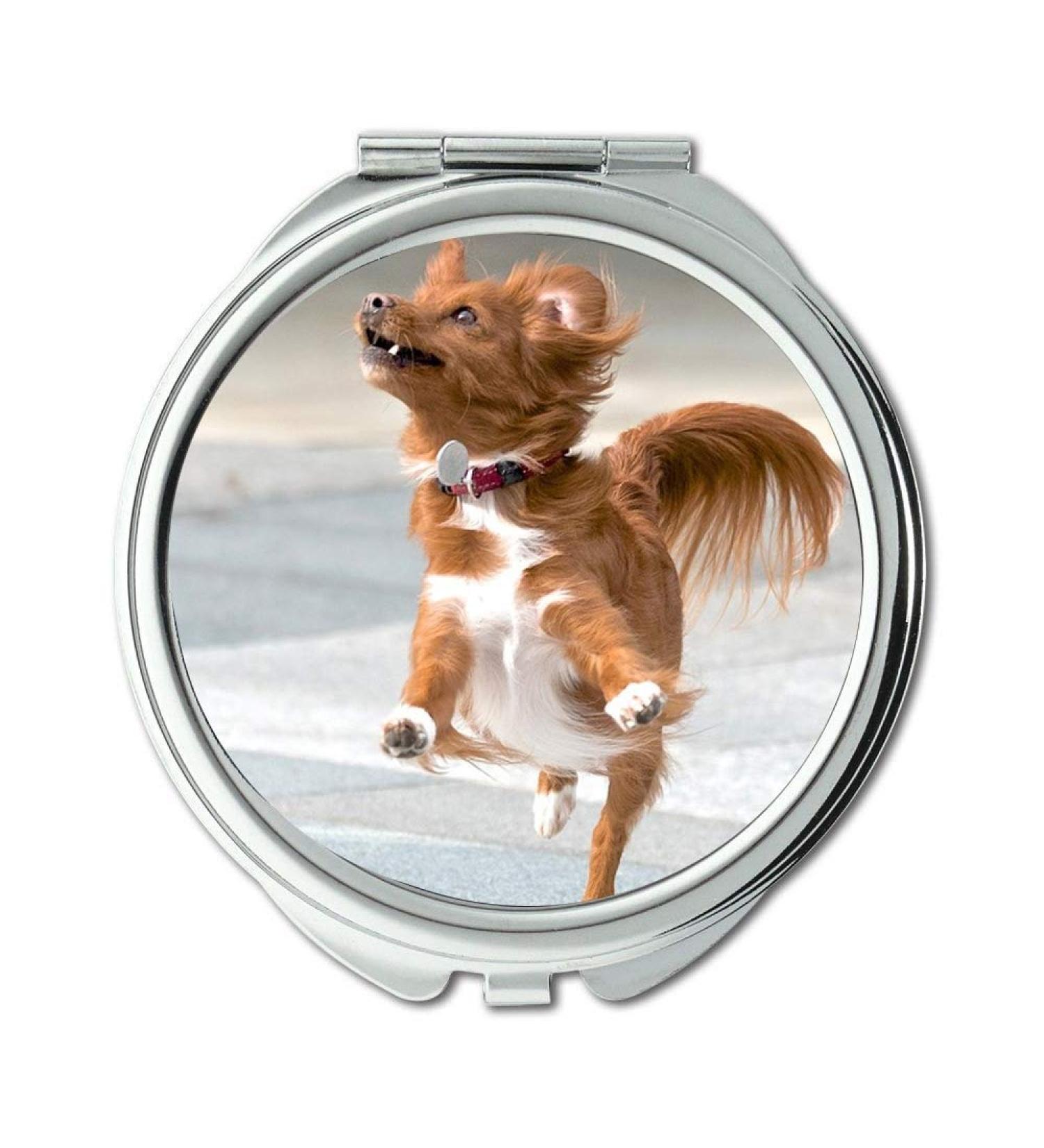 Mirror makeup mirror Dog Action Pet Animal Happy Fun Funny Canine pocket mirror portable mirror - Buy Online on GoSupps.com
