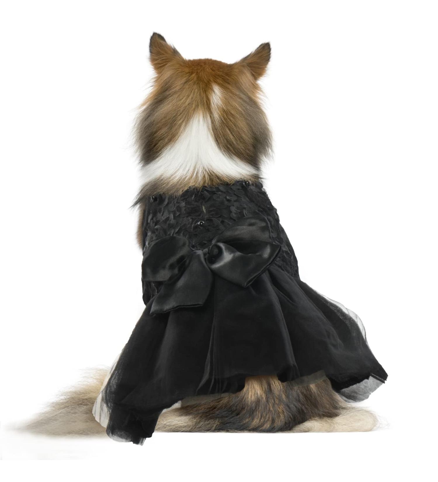 QBLEEV Dog Dress Dog Wedding Dress for Medium Dogs Bowknot Dog Wedding Attire Black Dog Dress Pet Dog Bride Costume Lace Tutu Skirt Halloween Dog Princess Dress Puppy Apparel Dog Formal Dress XXL Black XXL - Buy Online on GoSupps.com