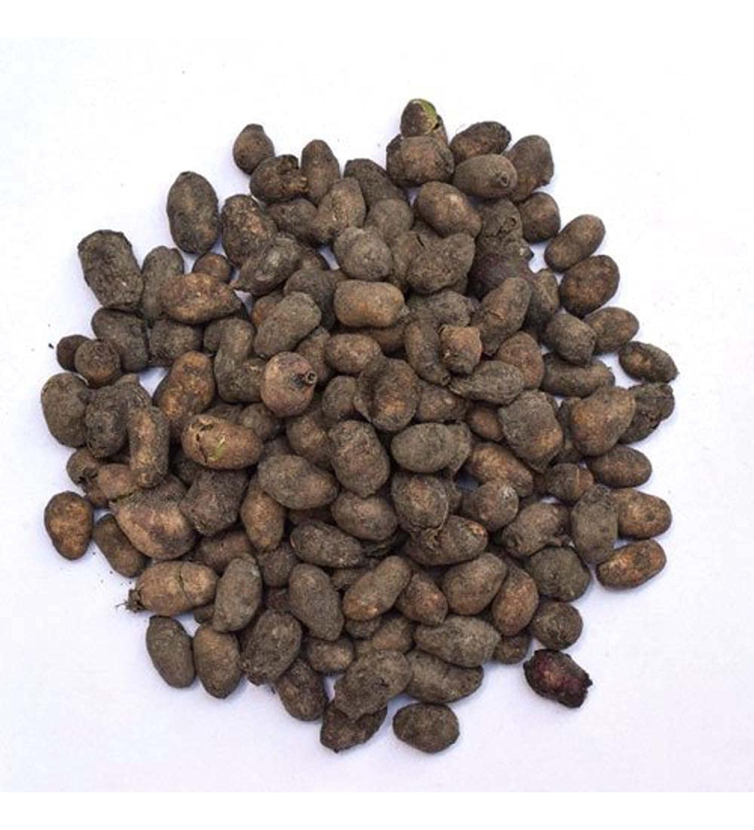 RAW HERB/JADI BOOTI JAMUN GUTHLI JAAMUN SEEDS SYZYGIUM CUMINI BLACK PLUM (500GM) - Buy Online on GoSupps.com