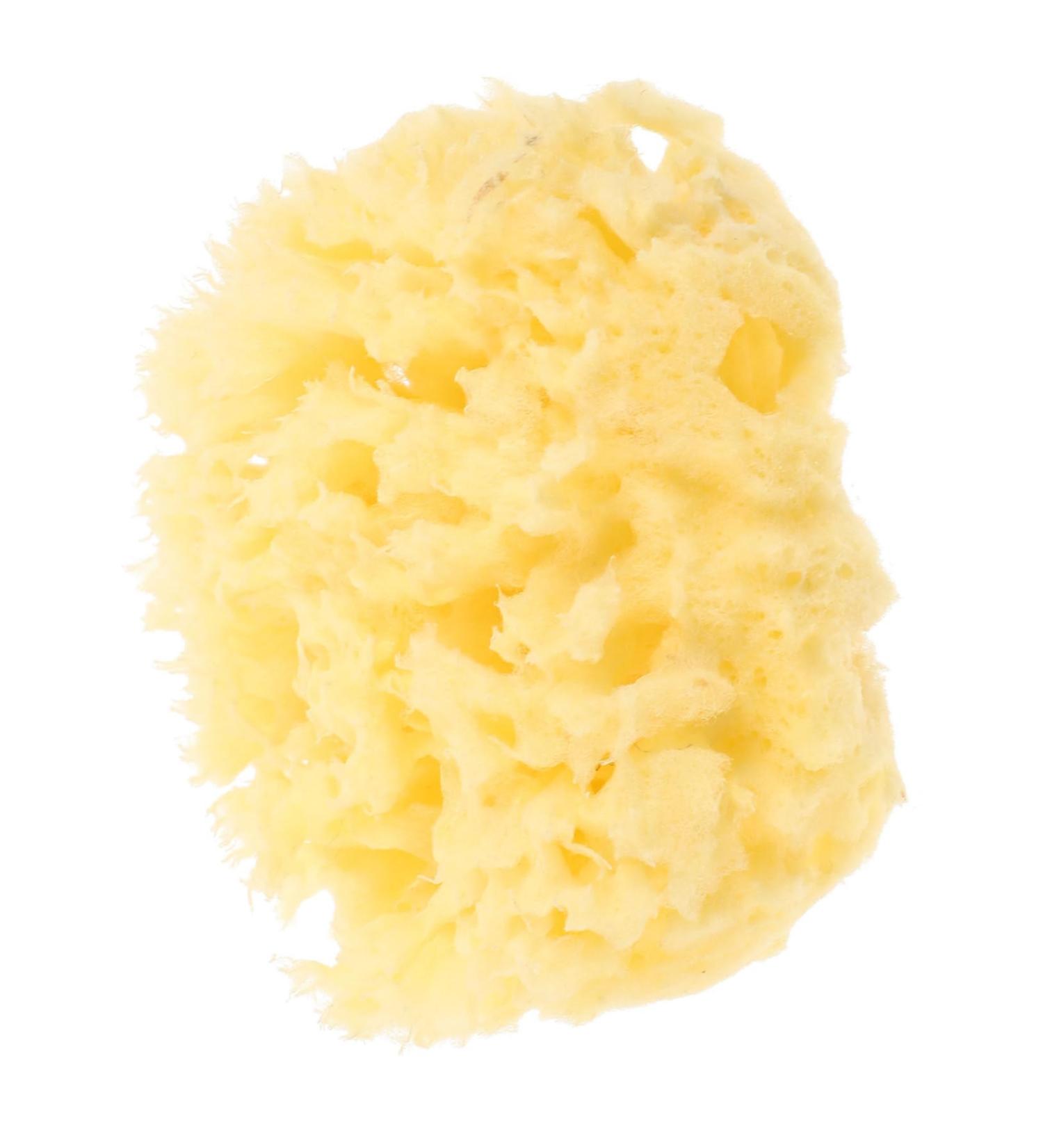 PLAFOPE Moisturizer Sponge for Body Shower Bath for Shower Body Natural for Bathing Sponge Bath Natural for Body Bath Sponge for - Buy Online on GoSupps.com