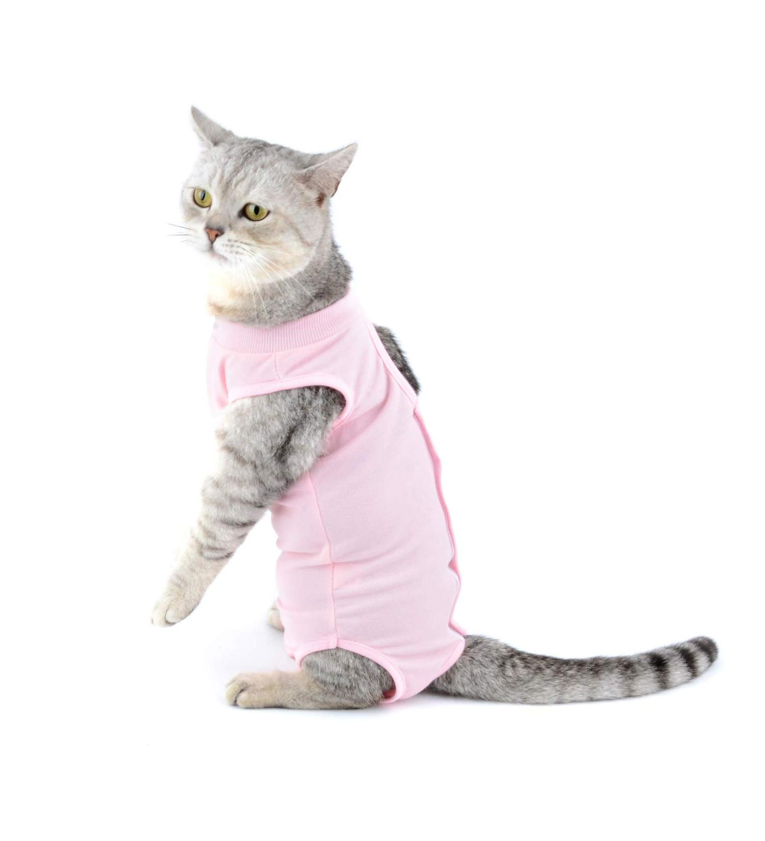 Ranphy Cat Recovery Suit for Abdominal Wounds or Skin Diseases Soft Cotton Surgical Recovery Shirt Breathable E-Collar Alternative After Surgery Home Indoor Anti Licking Clothes Pink M M(Chest:34cm Back:25cm Neck:24cm) pink - Buy Online on GoSupps.com