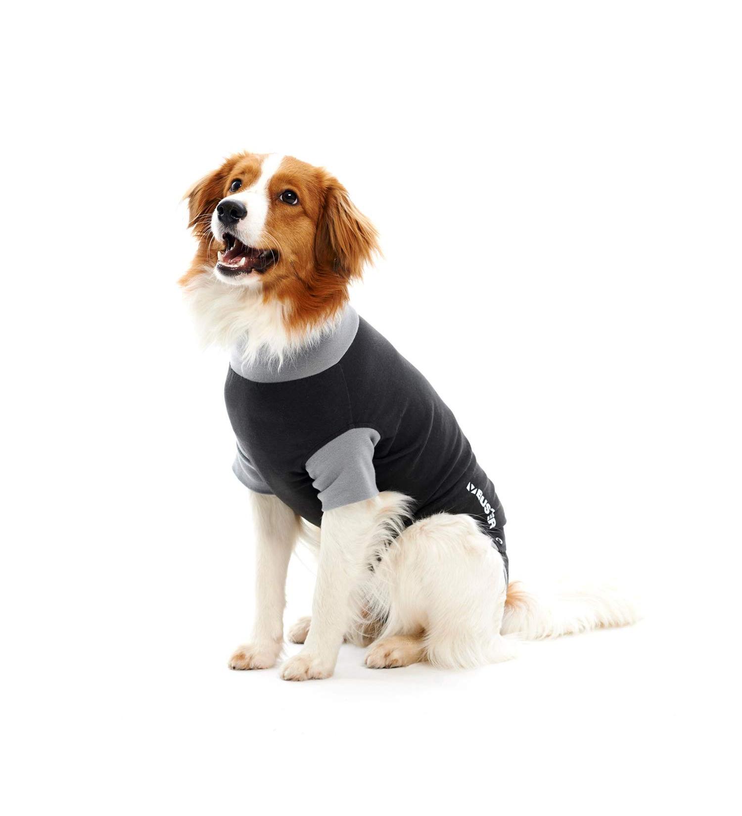 Buster Body Suit Classic Dog - Black/Grey 52cm T-L | International Shipping Available - Buy Online on GoSupps.com