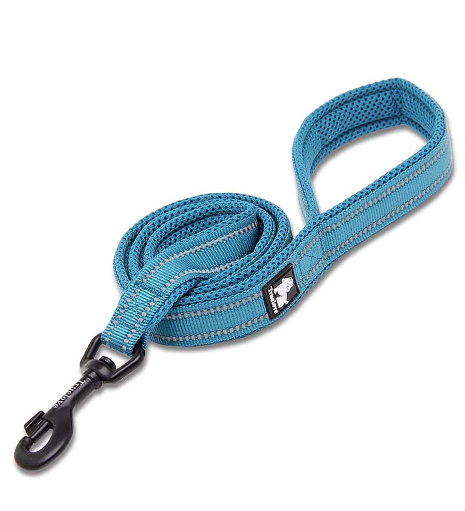 TRUE LOVE Padded Reflective Dog Leash - 110cm Blue M | Safe Puppy Walking Lead - Buy Online on GoSupps.com