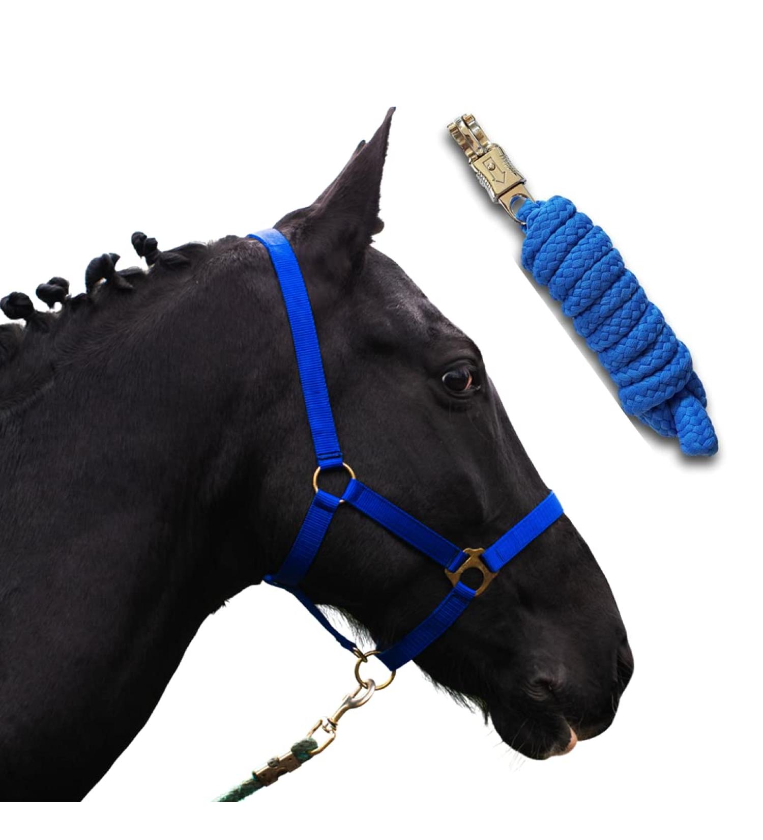 Halter for Horses with Rope | Premium Knitting Halter for Shetty Pony Thoroughbred - Royal Blue Cold Blood - Buy Online on GoSupps.com