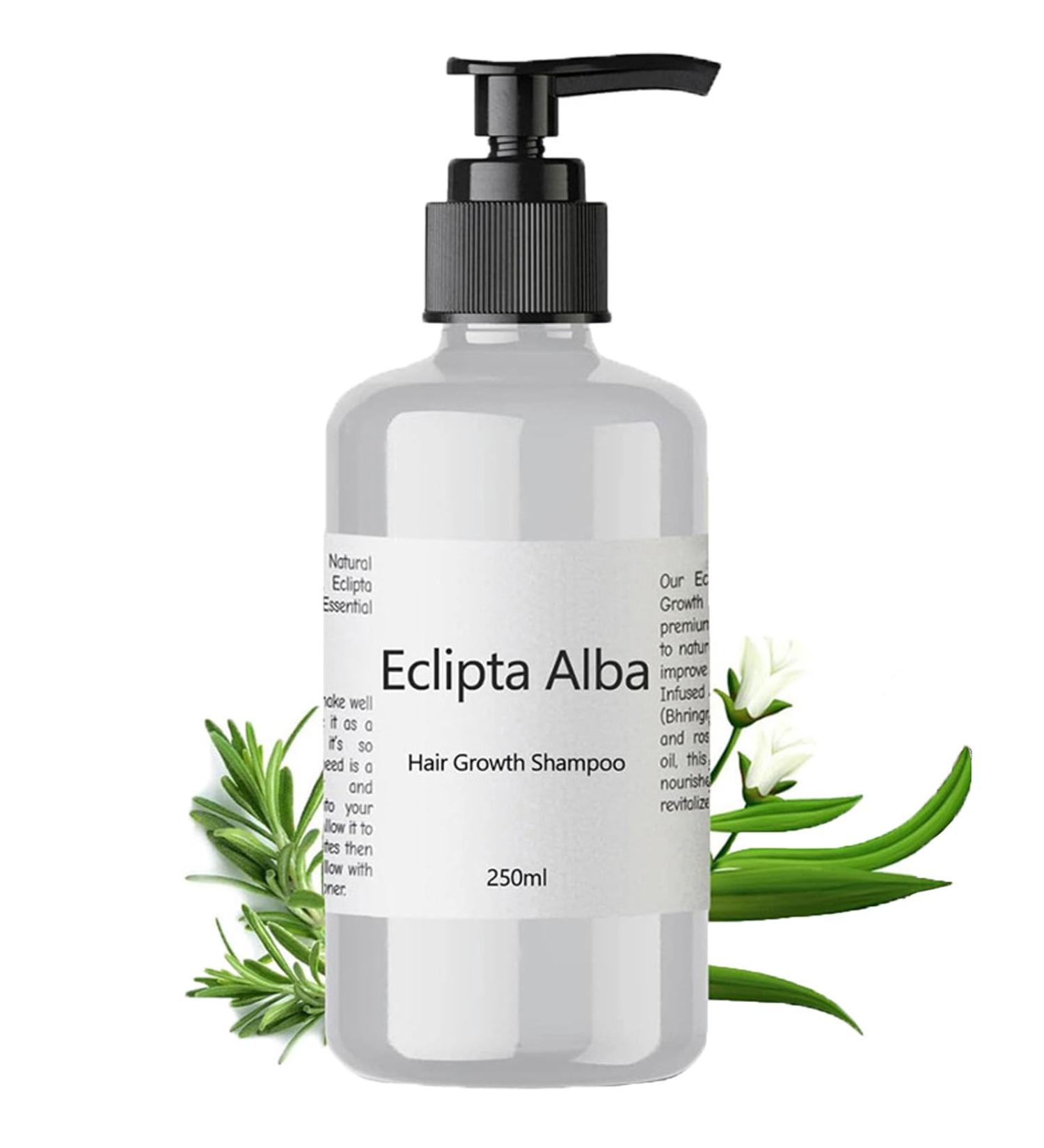 Eclipta Alba Hair Growth Shampoo Eclipta Alba Shampoo Eclipta Alba Oil Natural Organic Bhringraj Shampoo Anti Hair Loss Shampoo (1Pcs) - Buy Online on GoSupps.com
