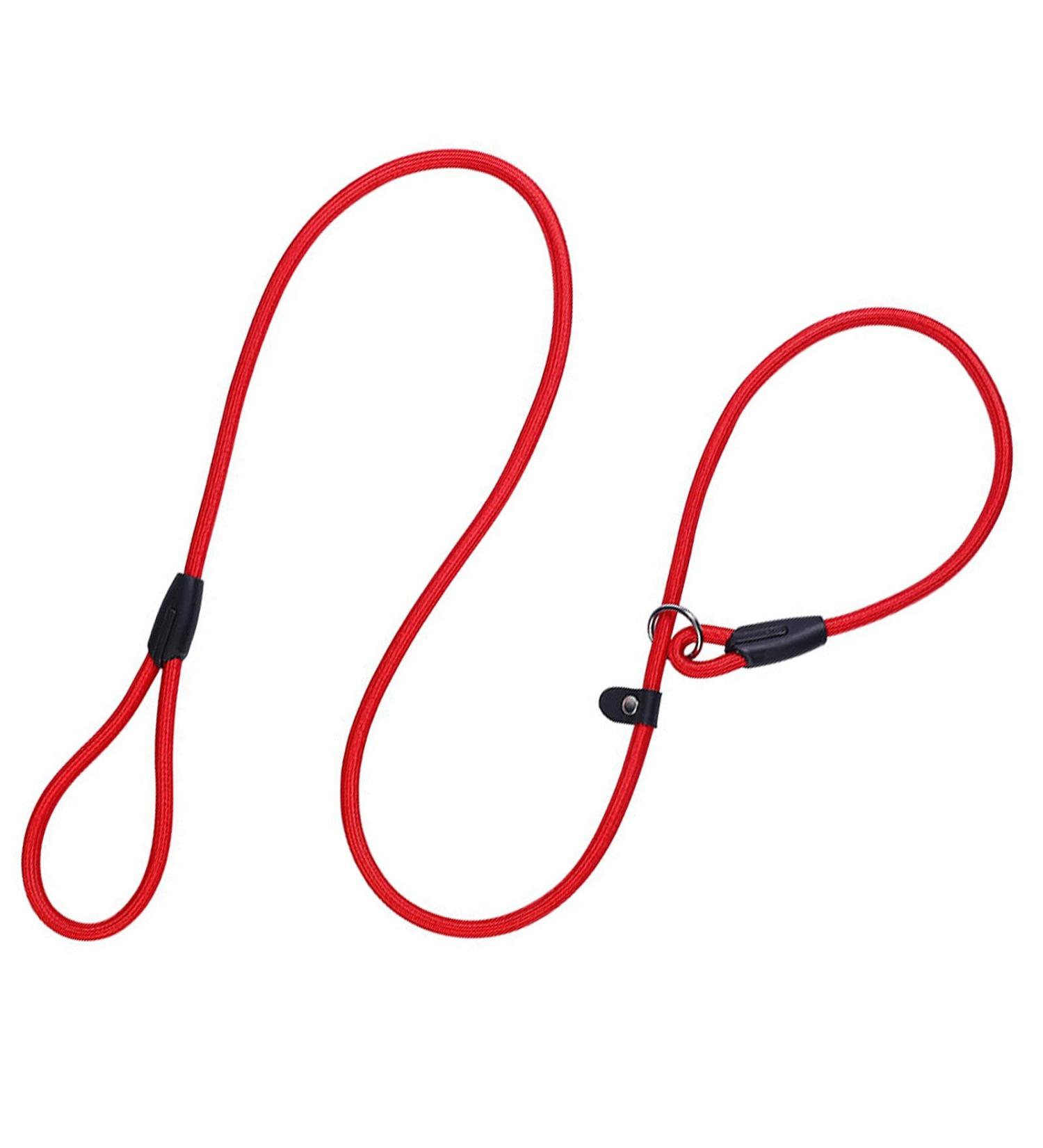 1Pc Nylon Dog Training Rope Slip Lead Dog Leash Durable Dog Traction Rope Durable Dog Traction Rope Suitable for Small Medium Dogs (Red) - Buy Online on GoSupps.com