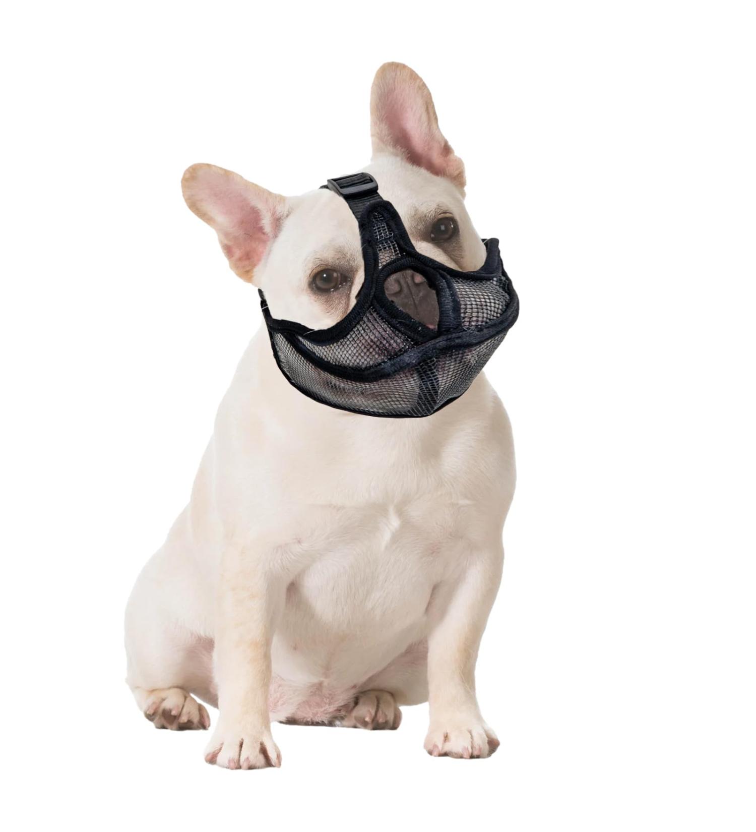 Short Snout Dog Muzzle French Bulldog Muzzle Frenchie Muzzle Short Billed Dogs Muzzle Anti Bitting Chewing Barking with Adjustable Breathe Mesh Overhead Strap for Flat Faced Dog - Buy Online on GoSupps.com