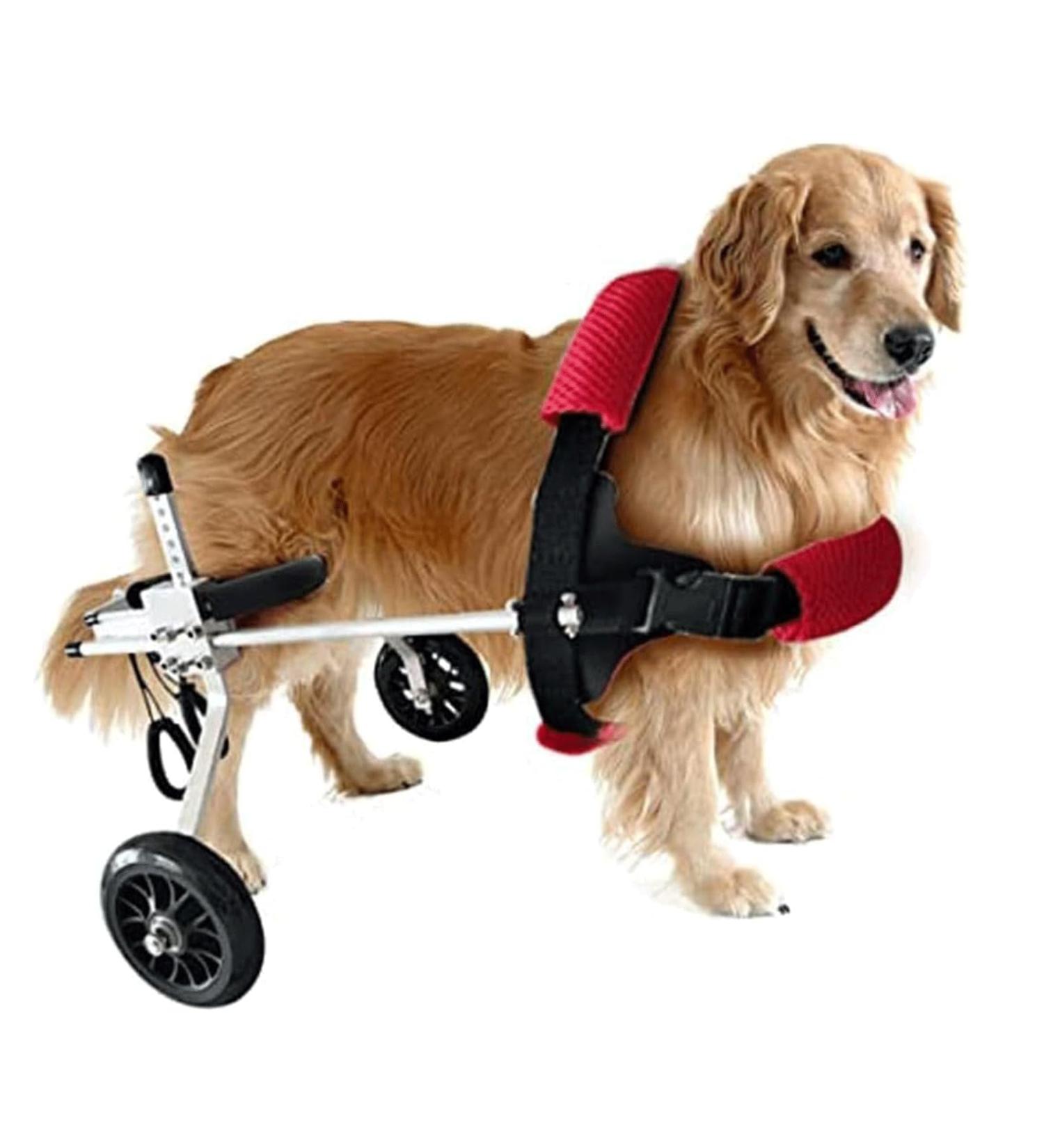Dog Wheelchair Dog Wheelchair for Back Legs to Help Pets Regain Walking Ability Pet Wheelchair Lightweight 2 Wheels Dog Wheelchair Portable XS widened - Buy Online on GoSupps.com