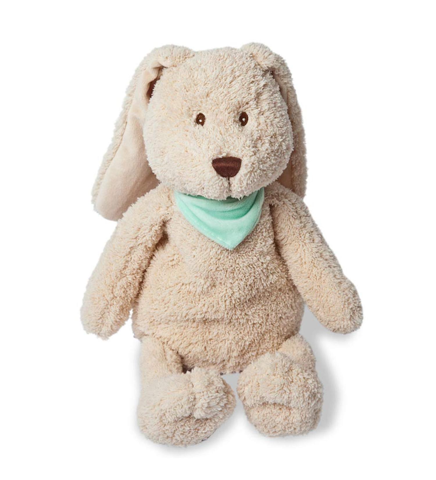 GR NSPECHT Rabbit Dad Rapeseed Heat Cushion for Kids - Washable Cover, Stomach Pain & Cold Relief (327-V2) - Buy Online on GoSupps.com