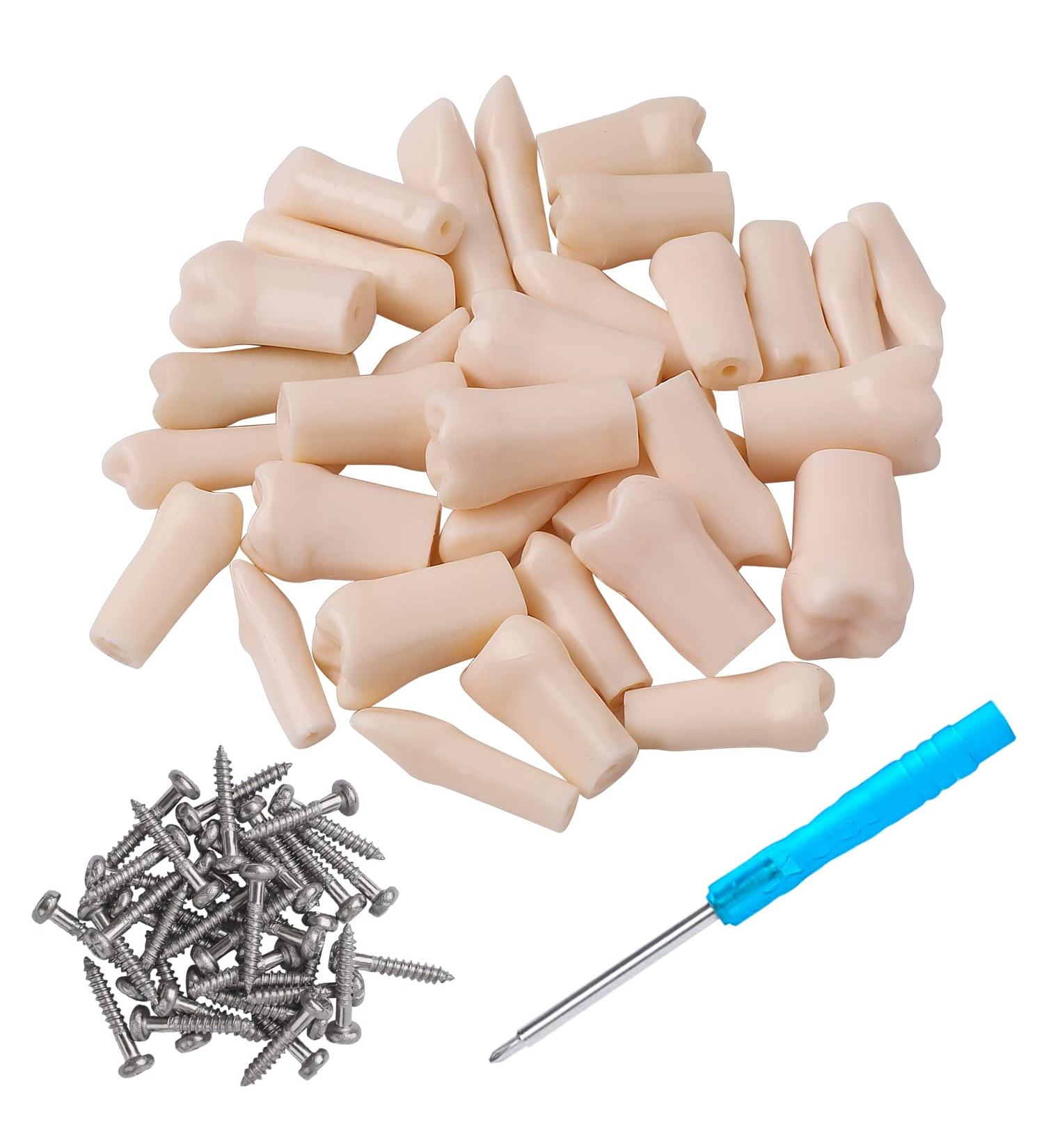 Faruijie Typodont Teeth - Removable 32 Dental Teeth Model for Practice & Teaching - Buy Online on GoSupps.com