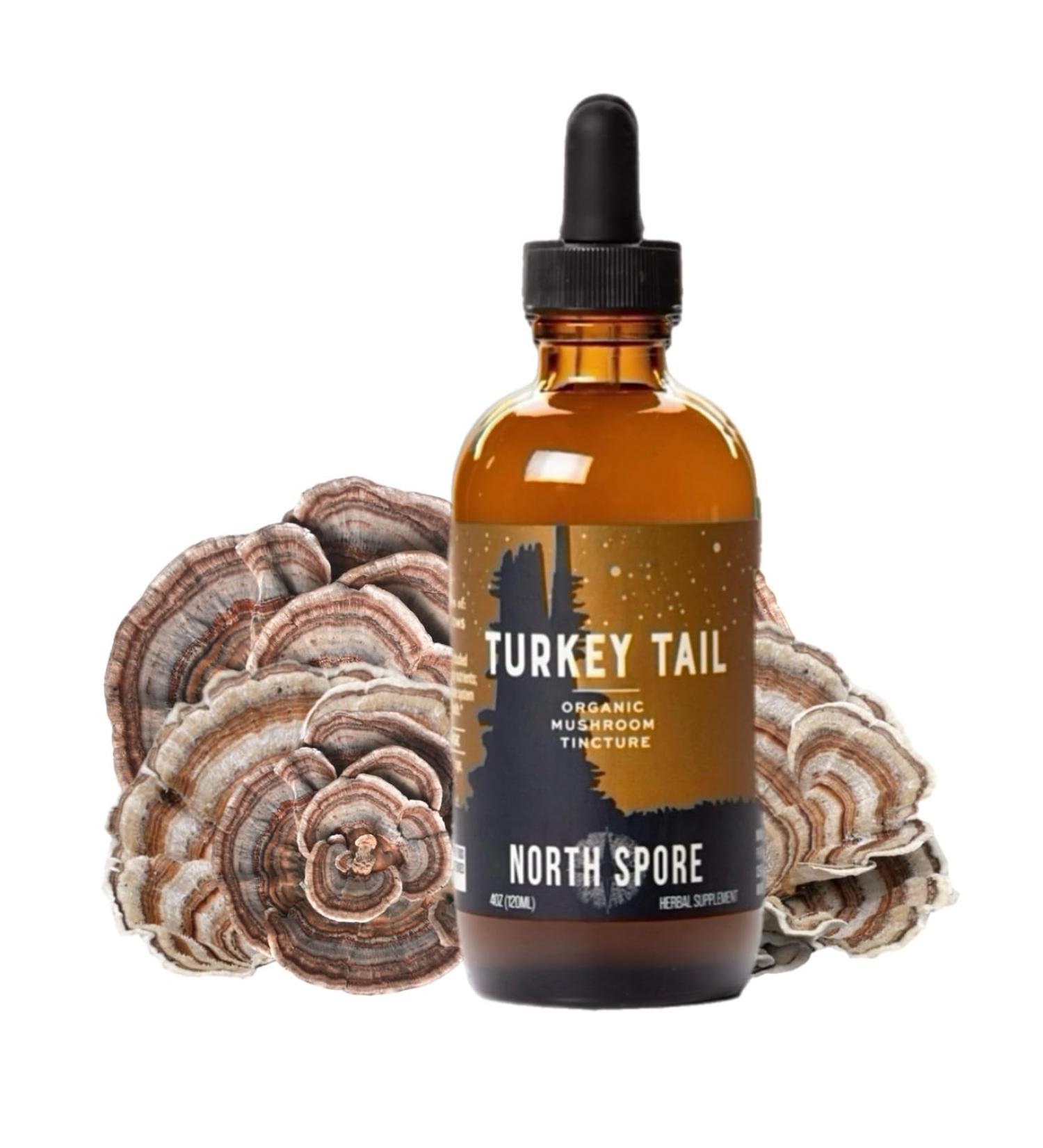 North Spore Organic Turkey Tail Tincture | Mushroom Supplement for Immune Wellness | Sustainably Grown & Confirmed for Potency | Trametes Versicolor Extract | Vegan, Non-GMO - 4oz 4 Fl Oz (Pack of 1) - Buy Online on GoSupps.com