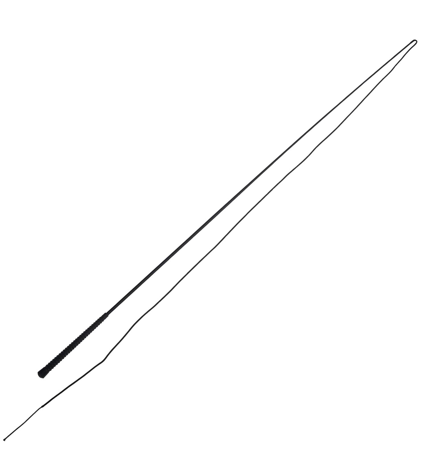 PFIFF Lunge Whip - Black 160 cm | Premium Equestrian Equipment for International Shipping - Buy Online on GoSupps.com