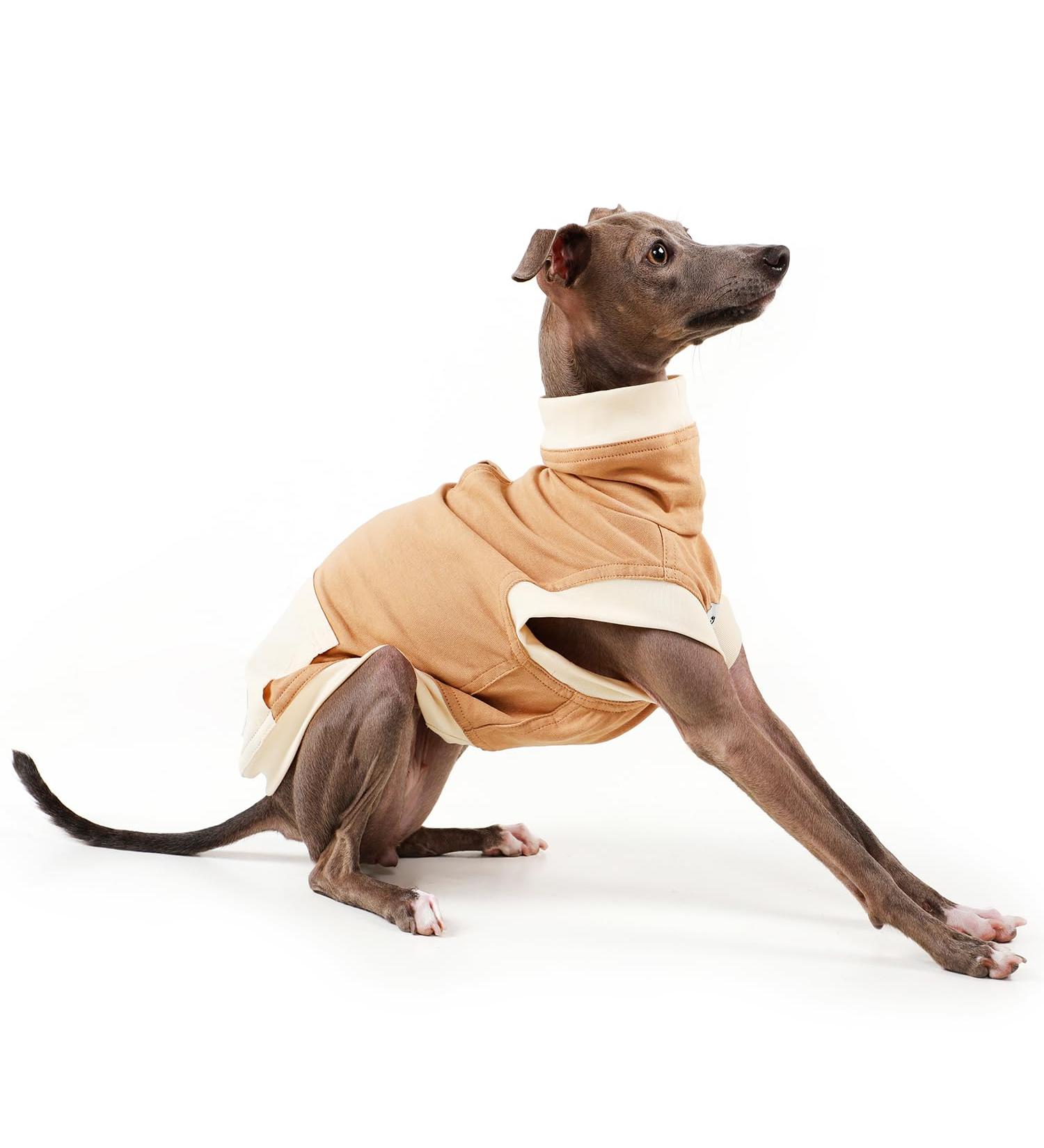 Petley Sweater Dog Sweatshirts Turtleneck Dog Jumper Knit Dog Sweater Cat Jumper Sweater Knitwear striped Clothes Camel for Greyhound and Dachshund (Greyhound Medium) - Buy Online on GoSupps.com