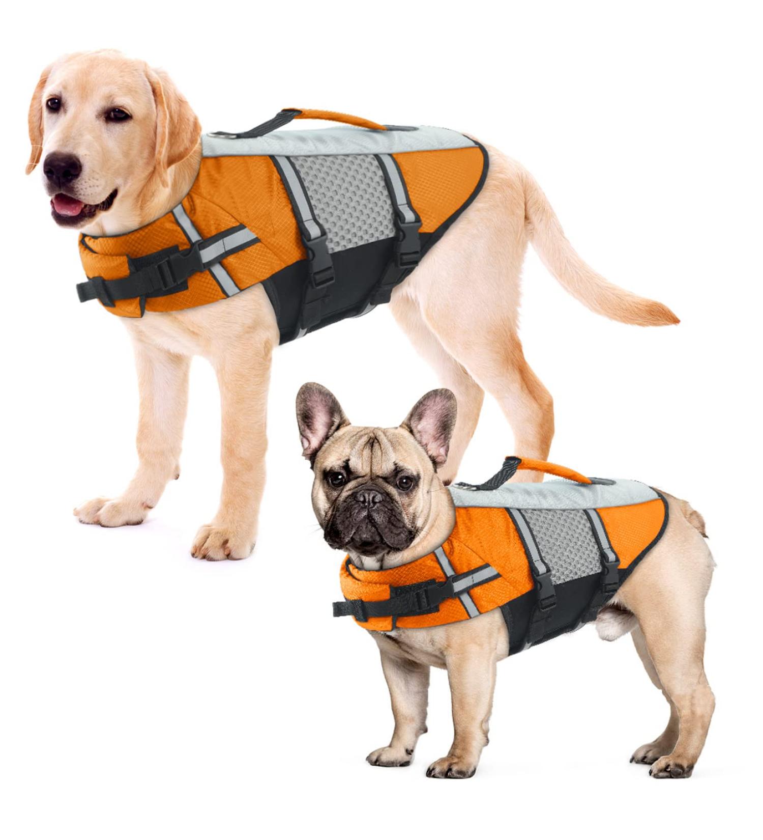 Alagirls Adjustable Dog Life Jacket - Reflective Rescue Handle XL (70-80cm) - Perfect for Pool & Beach Adventures - Buy Online on GoSupps.com
