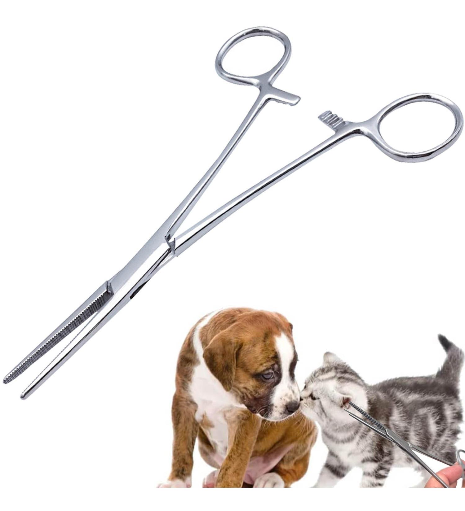 Buy Stainless Steel Ear Hair Tweezers for Pets - Hemostat & Veterinary Tongs for Dogs & Cats | Pet Grooming Tools - Buy Online on GoSupps.com