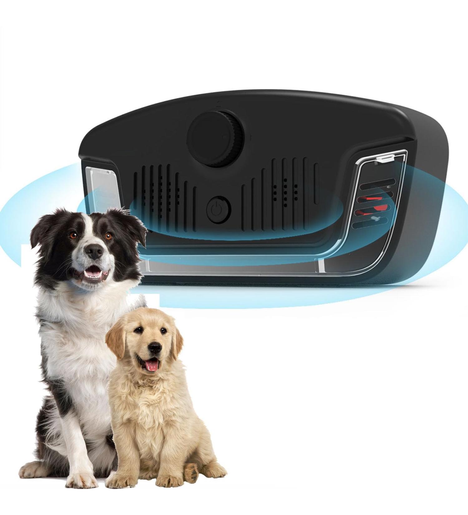 Antibell: Rechargeable Anti-Barking Device for Dogs - Ultrasound 3 Adjustable Frequencies Safe & Effective for All Sizes - Buy Online on GoSupps.com