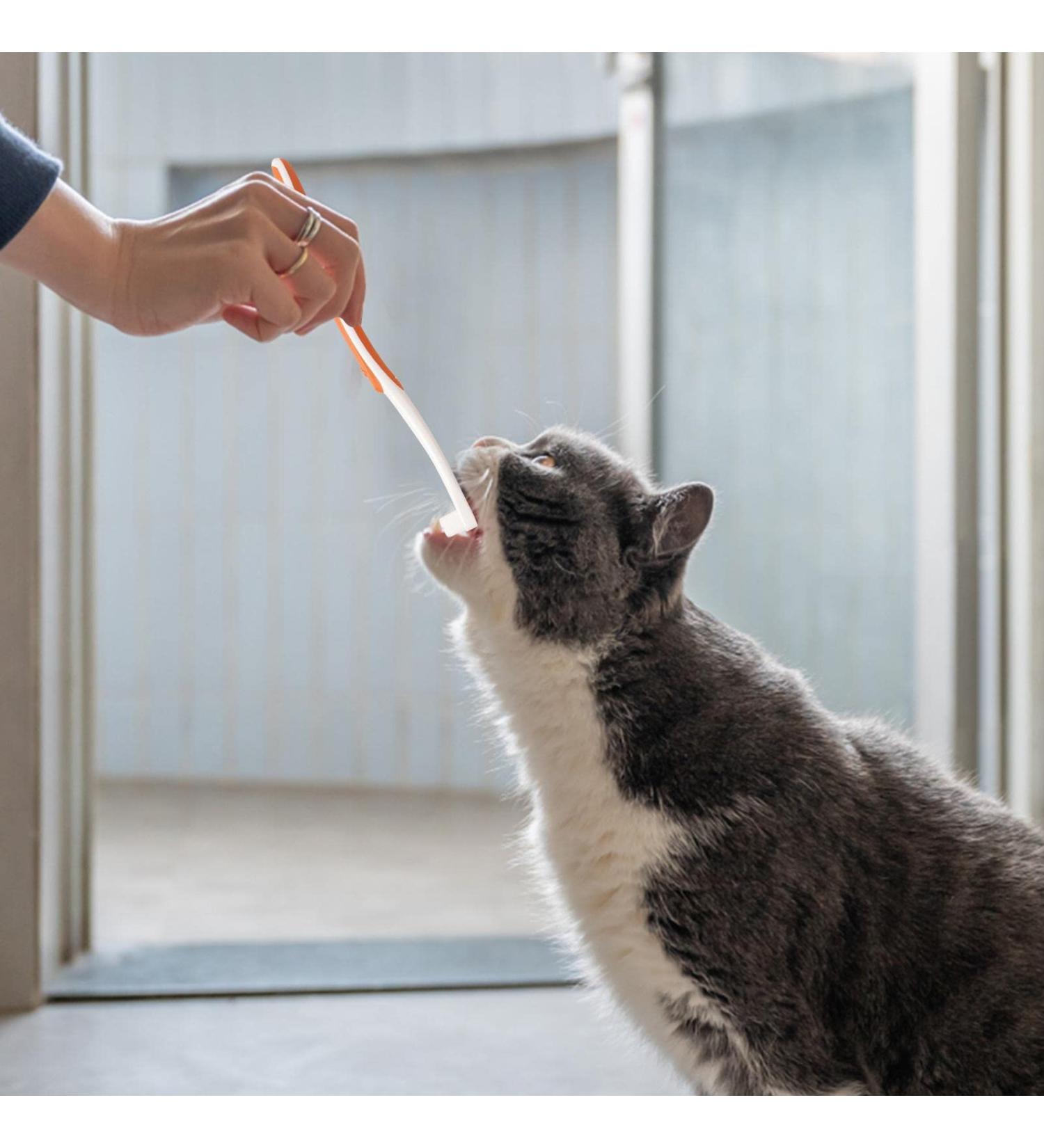 fanelod Pet Toothpaste. Pet Teeth Cleaning Paste with Brush Pet Care Finger Toothbrush Dog and Cat Oral Cleaning Tool. Teeth Cleaning Kit for Cats and Dogs - Buy Online on GoSupps.com
