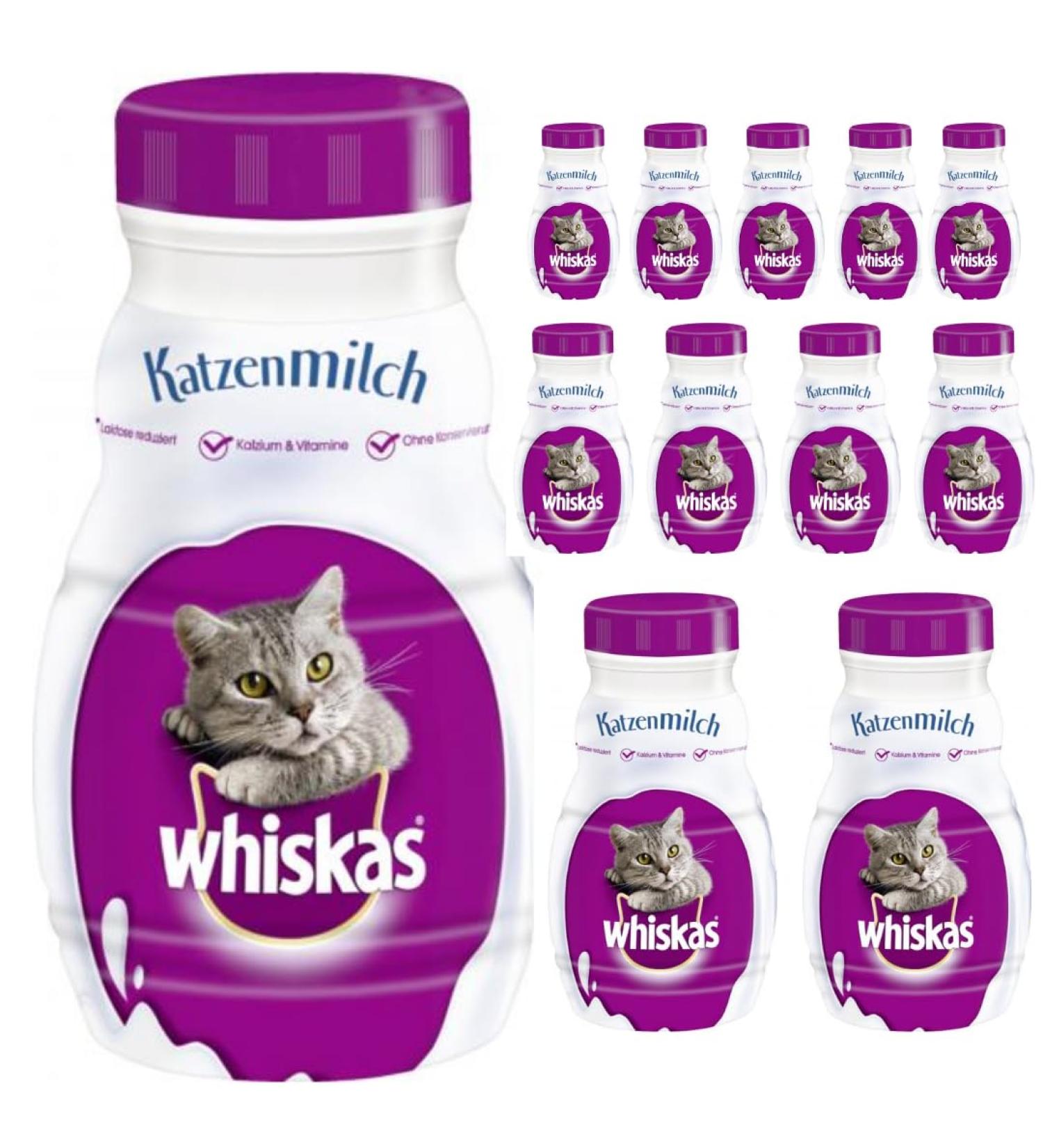 Premium Cat Milk - 200ml x 12 Pieces | Nutritional Treat for Cats | International Shipping Available - Buy Online on GoSupps.com