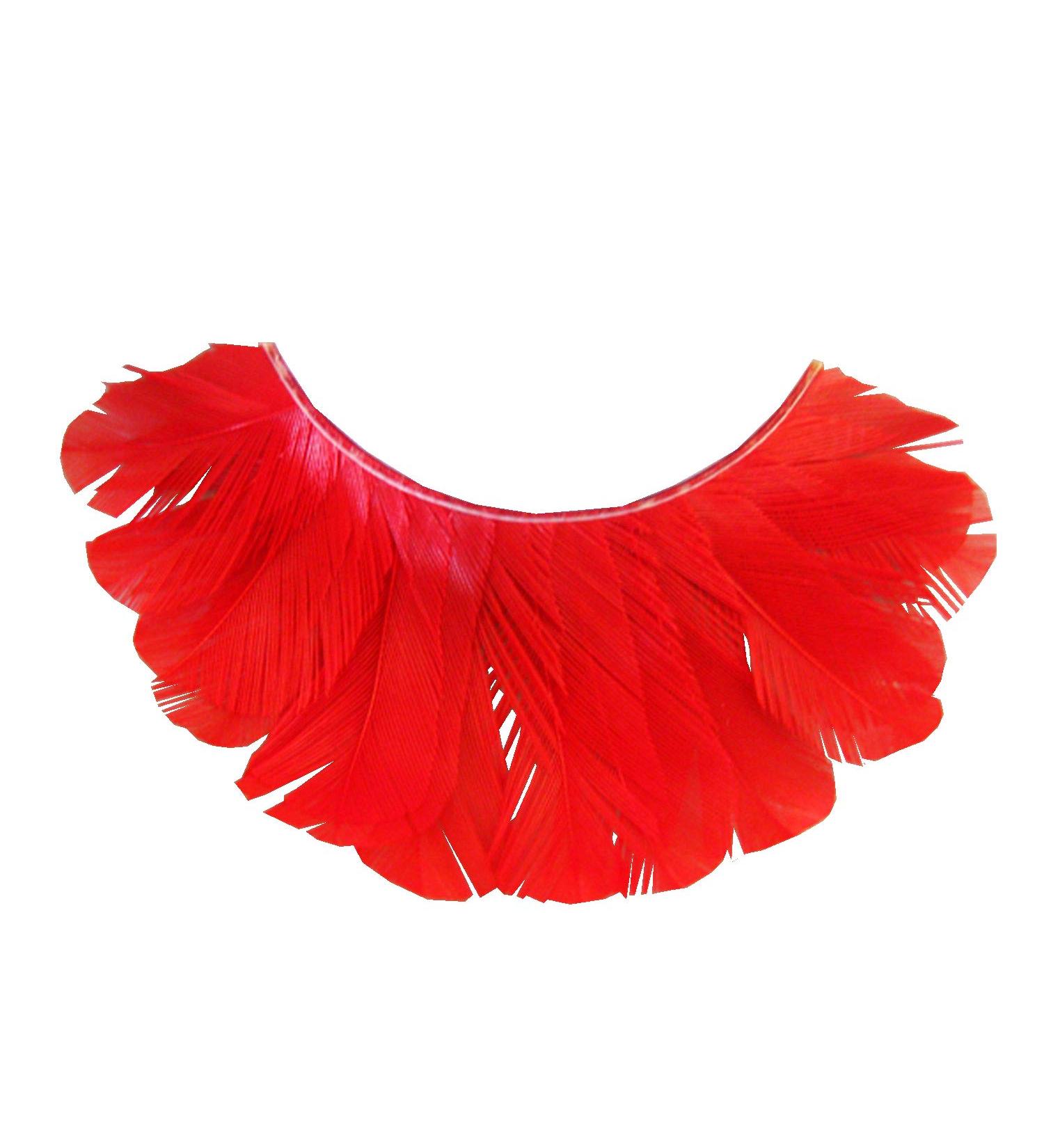 Eulenspiegel Red Feather Artificial Eyelashes with Glue | Perfect for Carnival & Theme Parties - Buy Online on GoSupps.com
