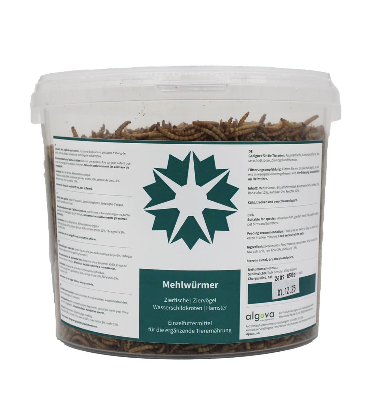 Dried Mealworms - Natural Insect Food for Fish Birds Turtles & Hedgehogs (850g) - 5L Pack - Premium Quality - Buy Online on GoSupps.com