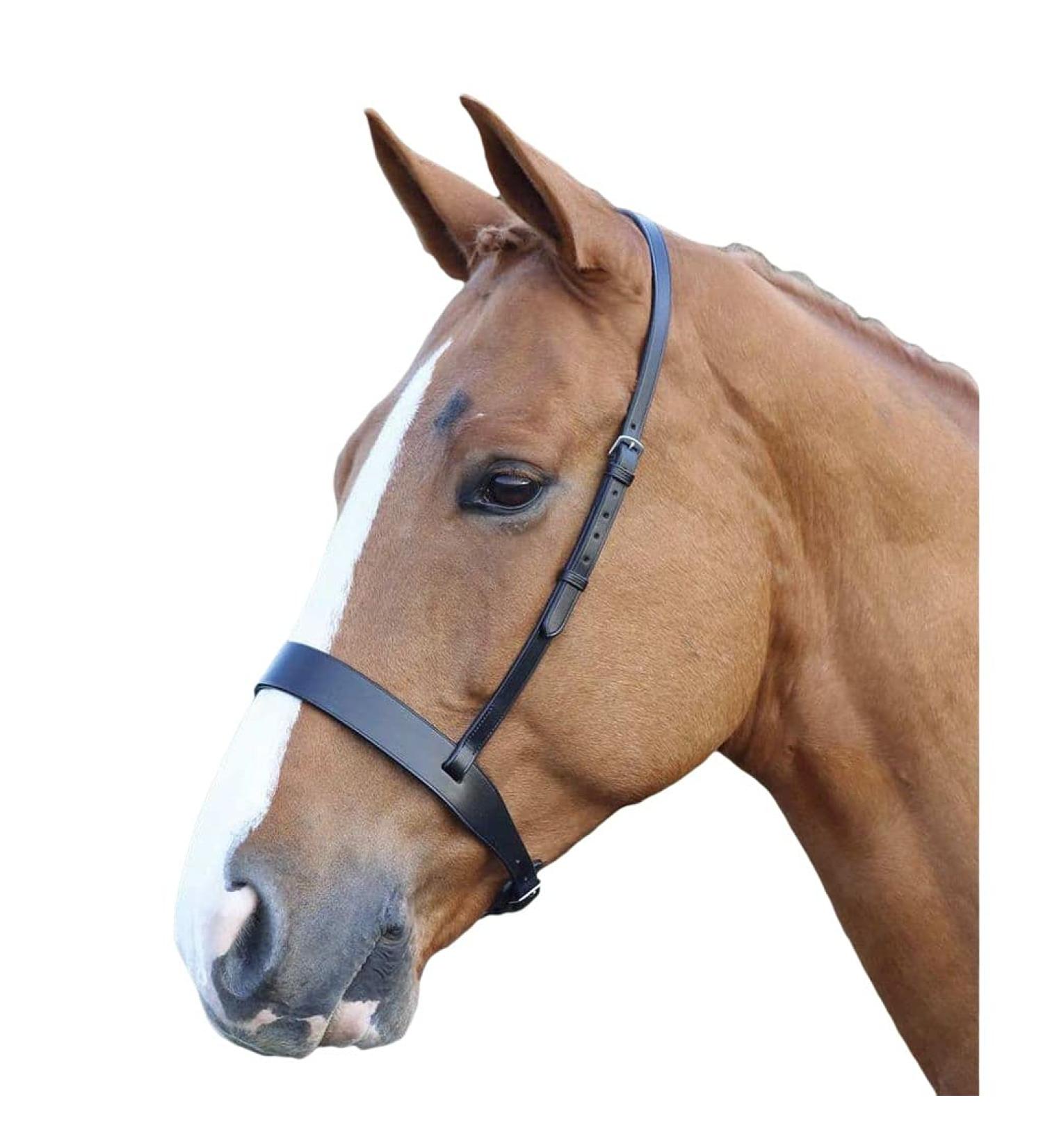 Shires Blenheim Hunter Cavesson Noseband-Black Cob