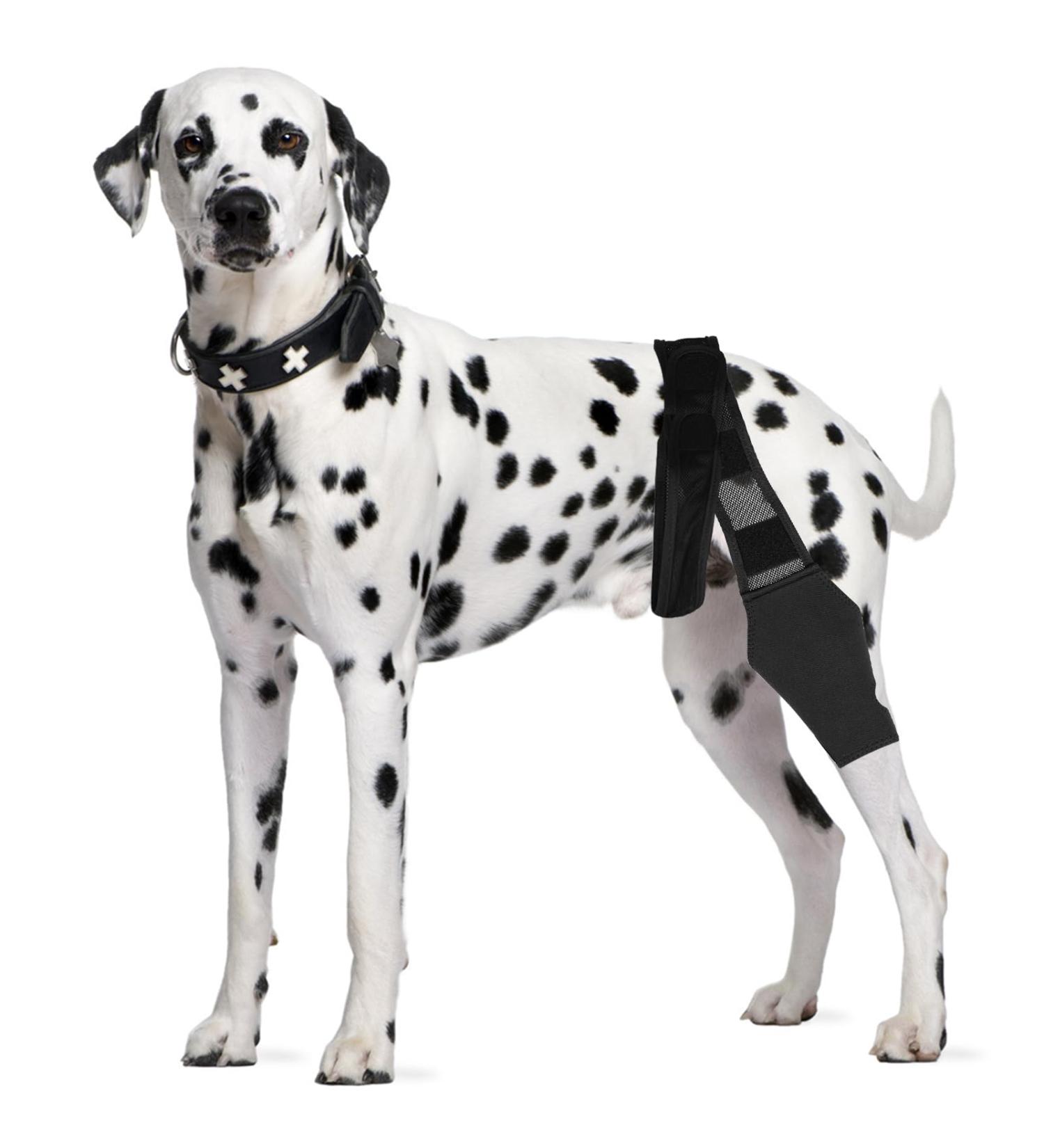 HSHGZSR Dog Knee Brace for Hind Leg Breathable Dog Leg Braces Comfortable Soft Dog ACL Brace Adjustable Pet Back Leg Support Brace for Supporting Dogs with Torn ACL Muscle Hind Leg Joint Discomfort Black L - Buy Online on GoSupps.com