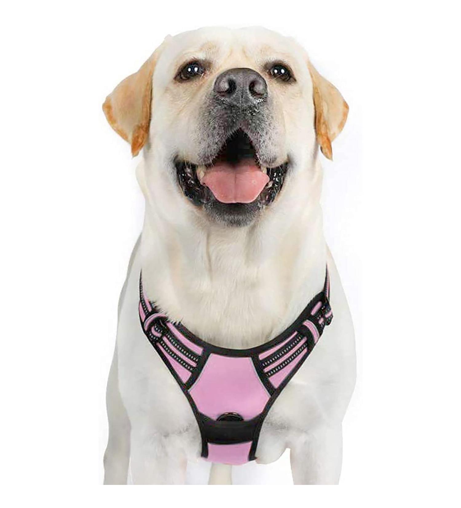 Rabbitgoo Medium Dog Harness - Anti-Pull Adjustable & Breathable Design for Large Dogs - Safe Control with Reflective Stripes - Pink XL (1 Pack) - Buy Online on GoSupps.com