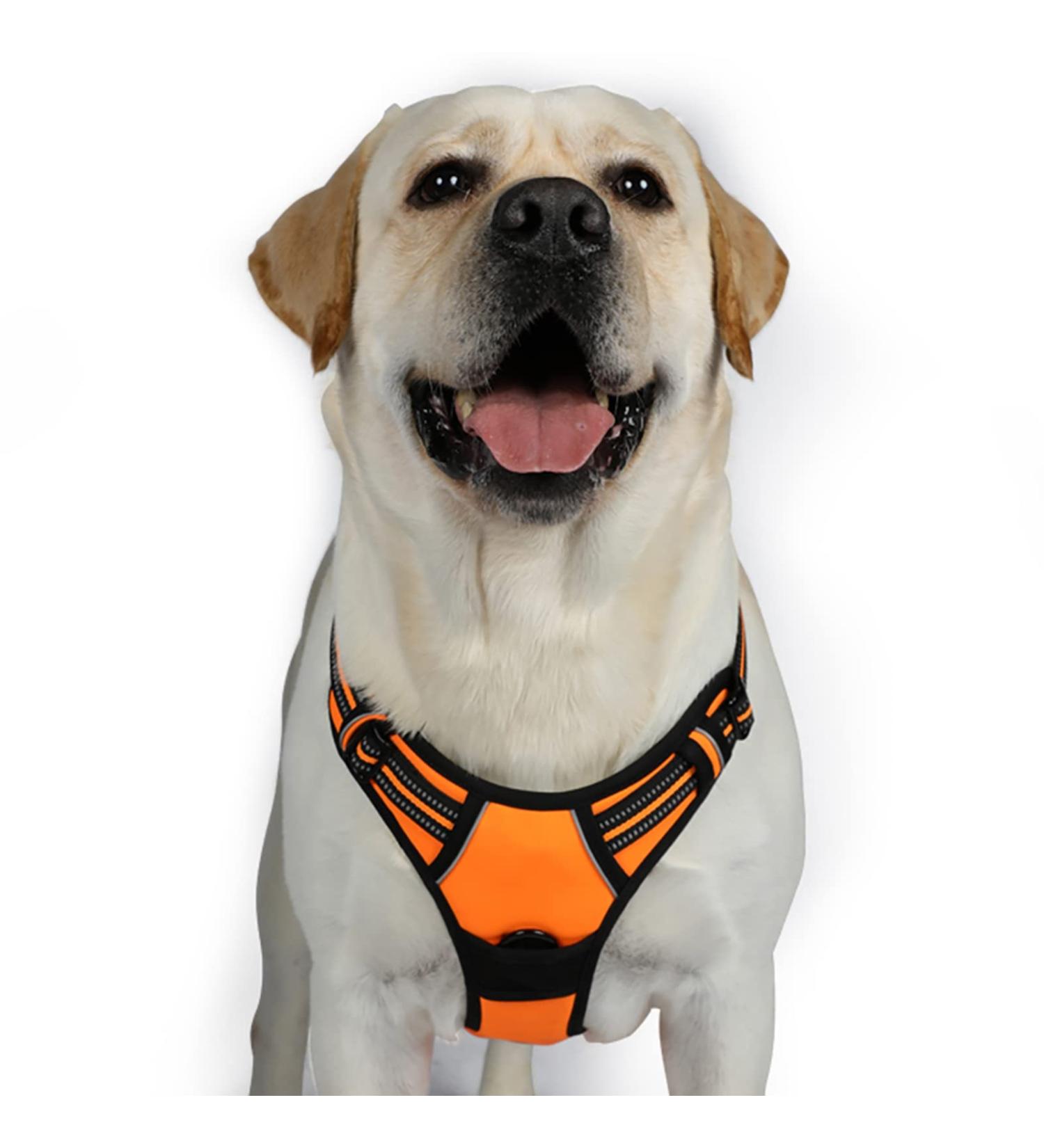 Rabbitgoo Adjustable Dog Harness for Medium & Large Dogs - No Pull Breathable with Reflex Stripes - Safe Control Guide in Orange XL (1 Pack) - Buy Online on GoSupps.com